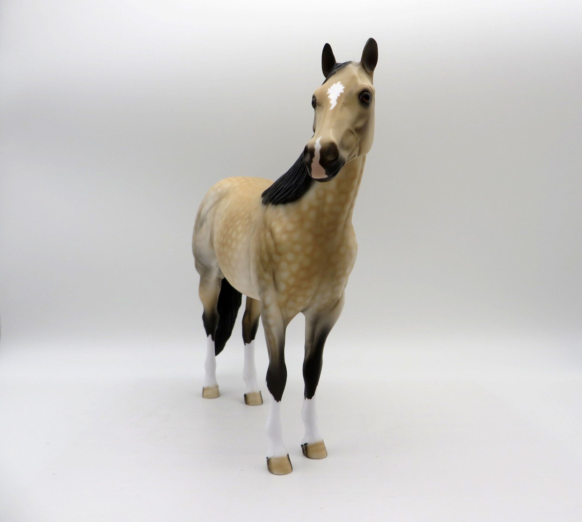 Medicine Wheel-OOAK Dapple Buckskin Painted By Dawn Quick 5/28/21