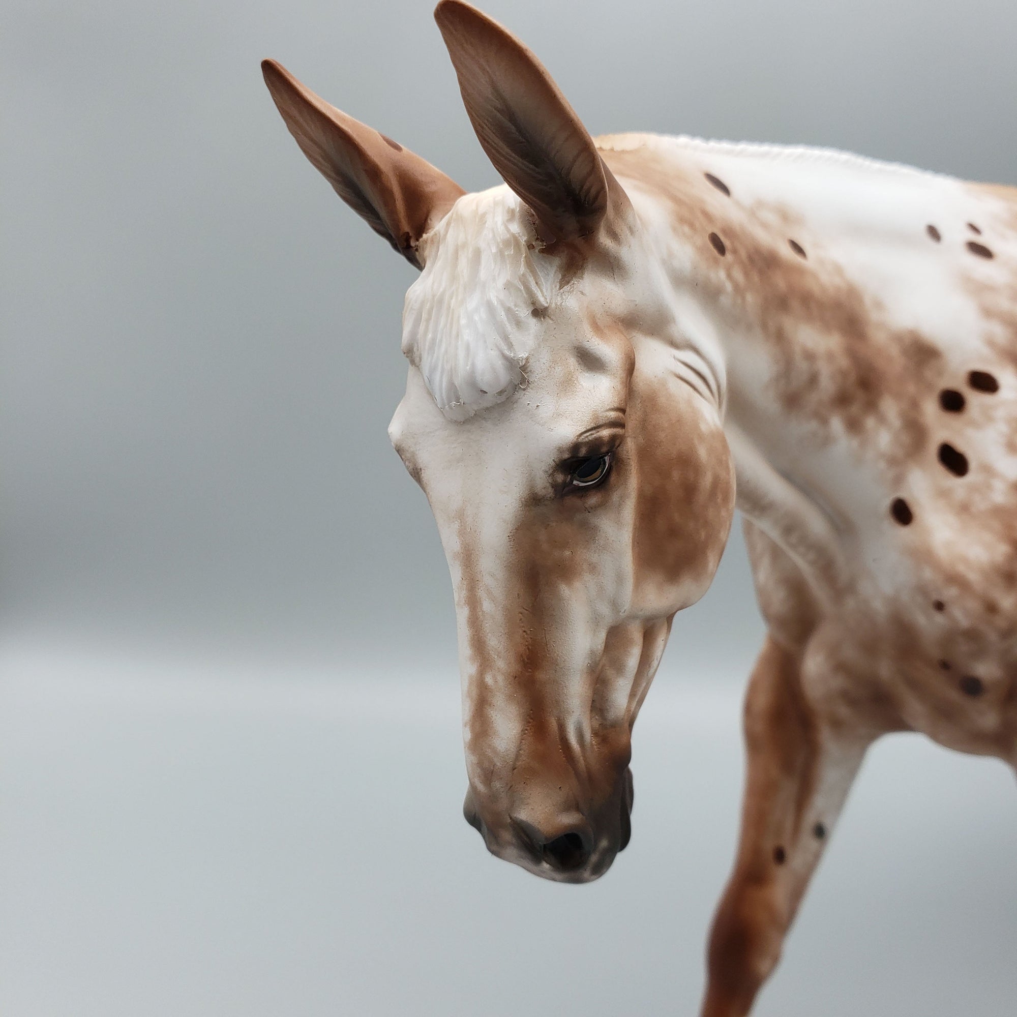 Mee Maw OOAK Chestnut Appaloosa Mule By Sheryl Leisure Best Offers 6/12/23