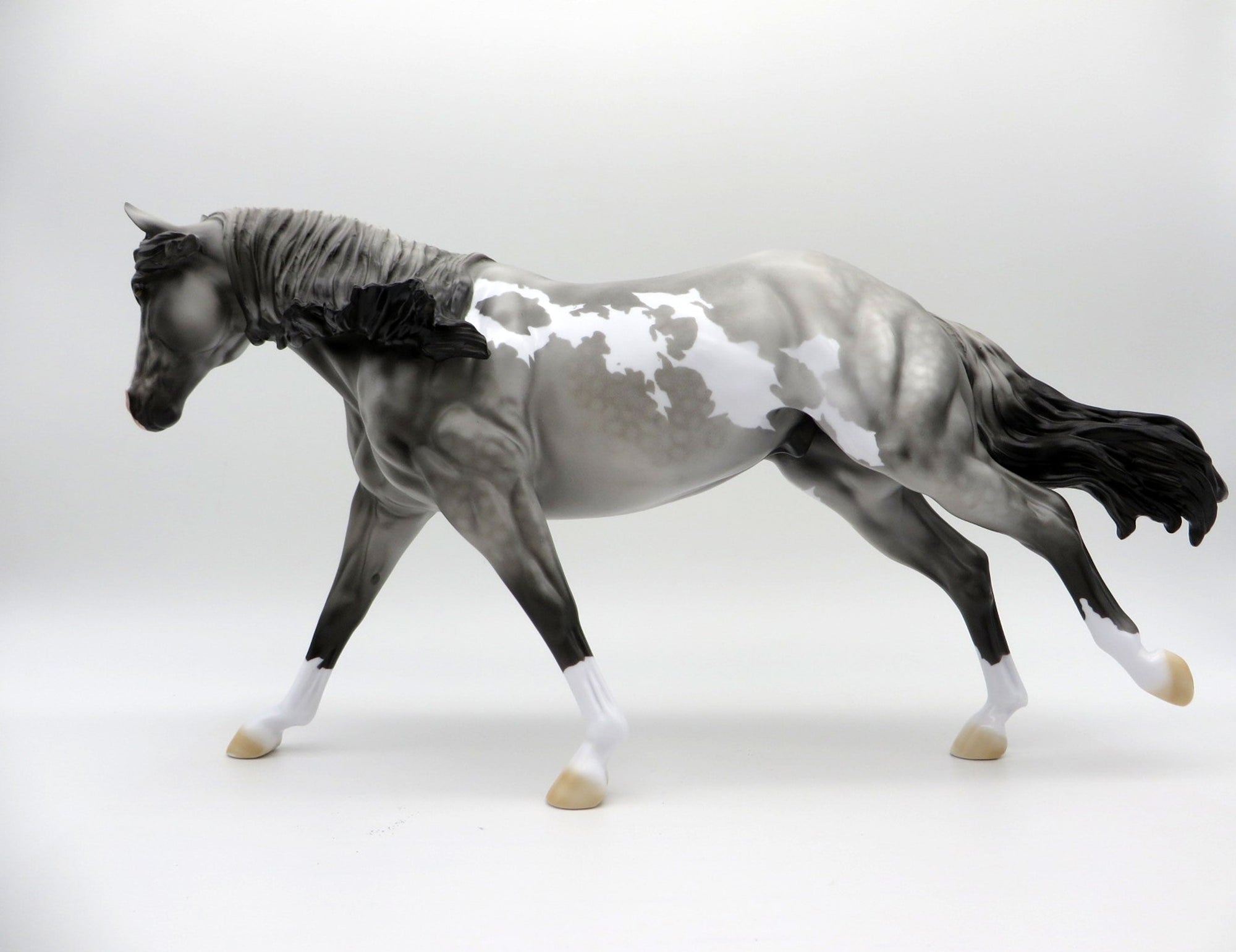 Meester Independence | Dapple Gray Overo Stock Horse by Dawn Quick | 7/1/21