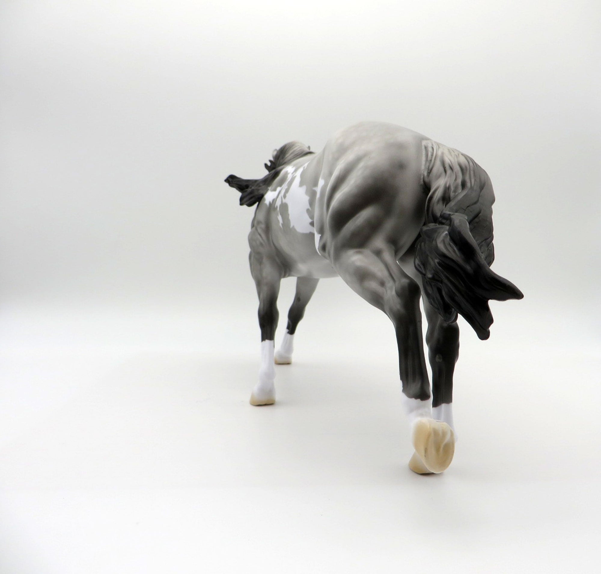 Meester Independence | Dapple Gray Overo Stock Horse by Dawn Quick | 7/1/21