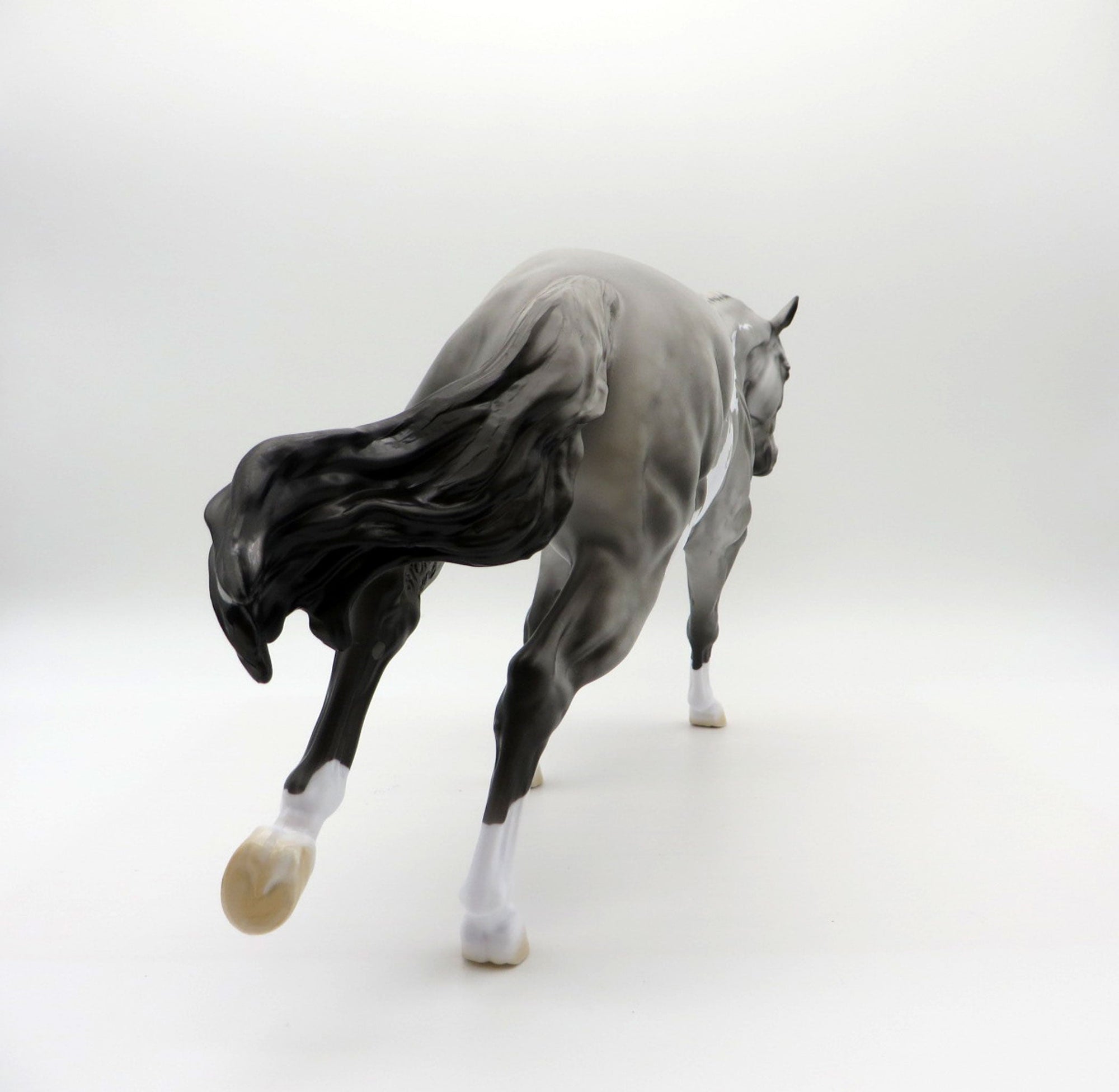 Meester Independence | Dapple Gray Overo Stock Horse by Dawn Quick | 7/1/21