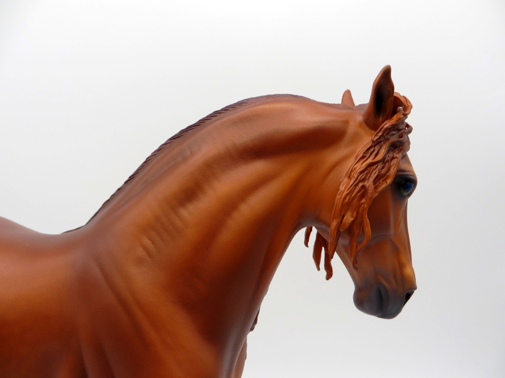 MeKong-OOAK Chestnut Andalusian By Caroline Boydston 4/5/21