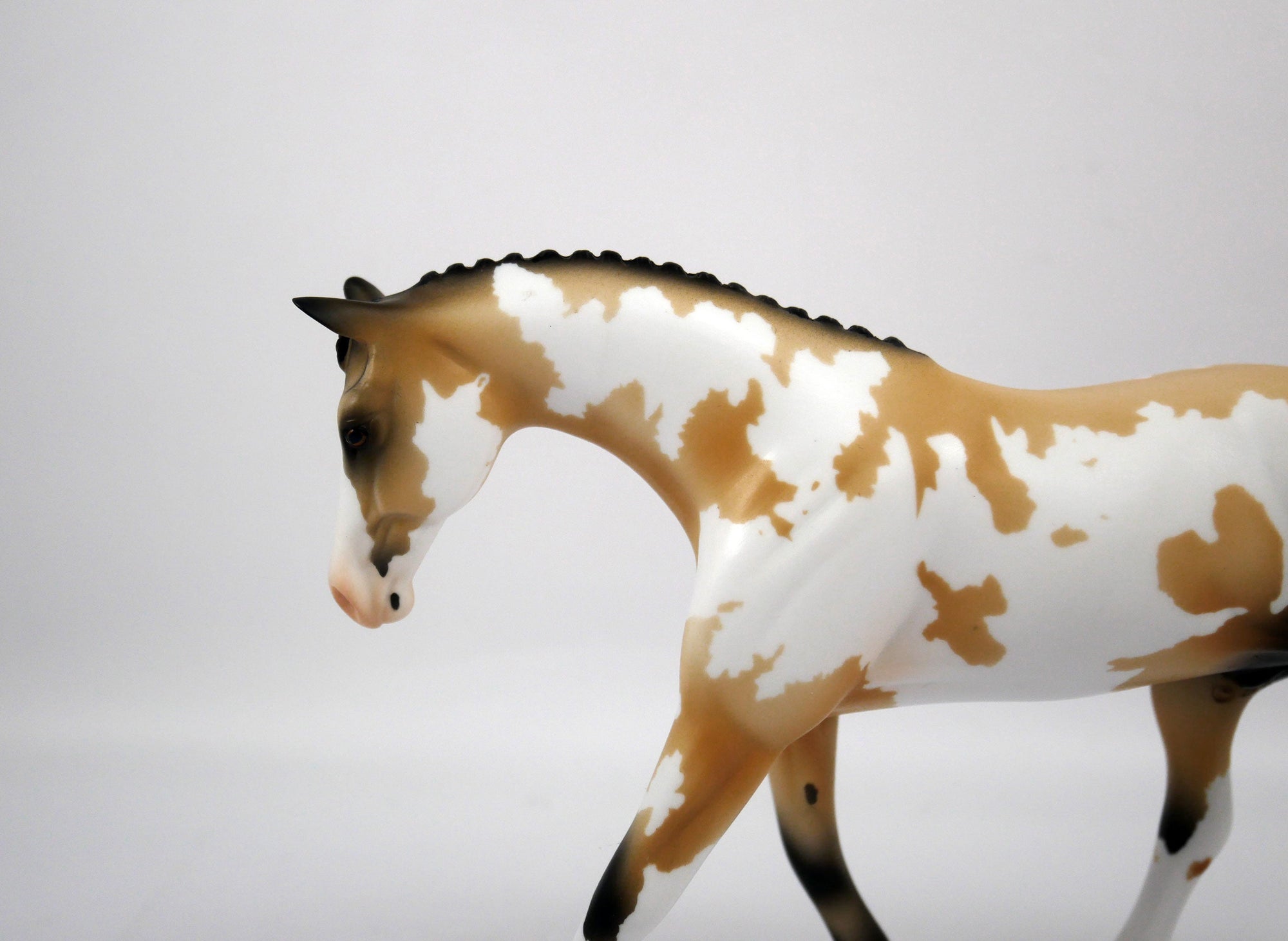 Mel-OOAK Buckskin Warmblood Paint by Ellen 1/29/21