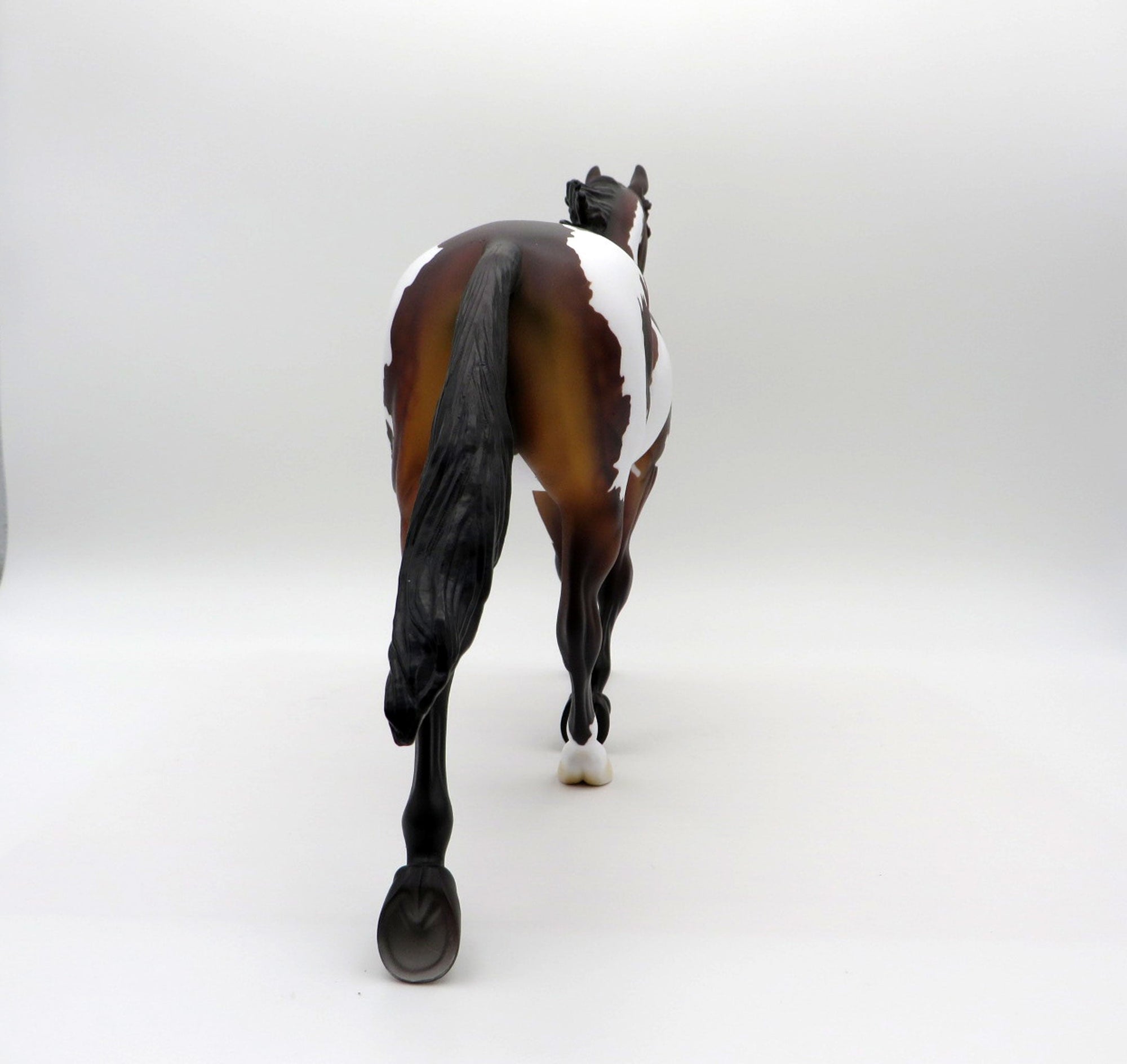 Merak-OOAK Dapple Bay Palouse   SHCF 2021