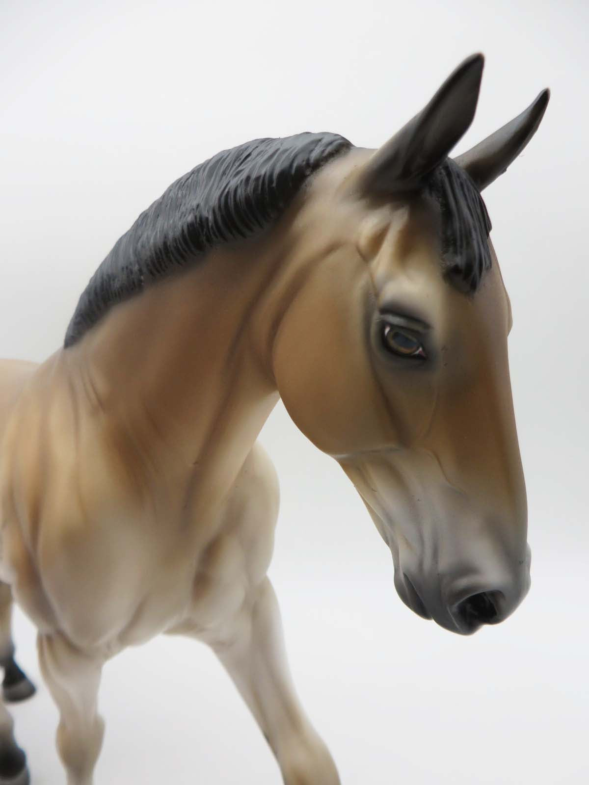 Merchant - OOAK - Buckskin Irish Draught By Jess Hamill - SHCF23