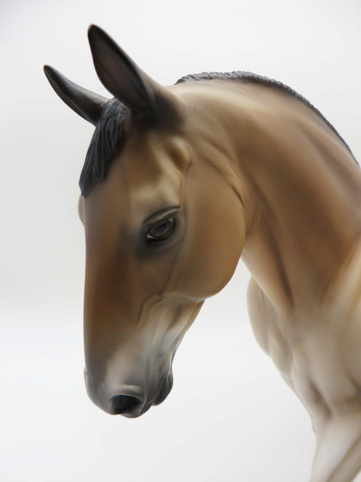 Merchant - OOAK - Buckskin Irish Draught By Jess Hamill - SHCF23