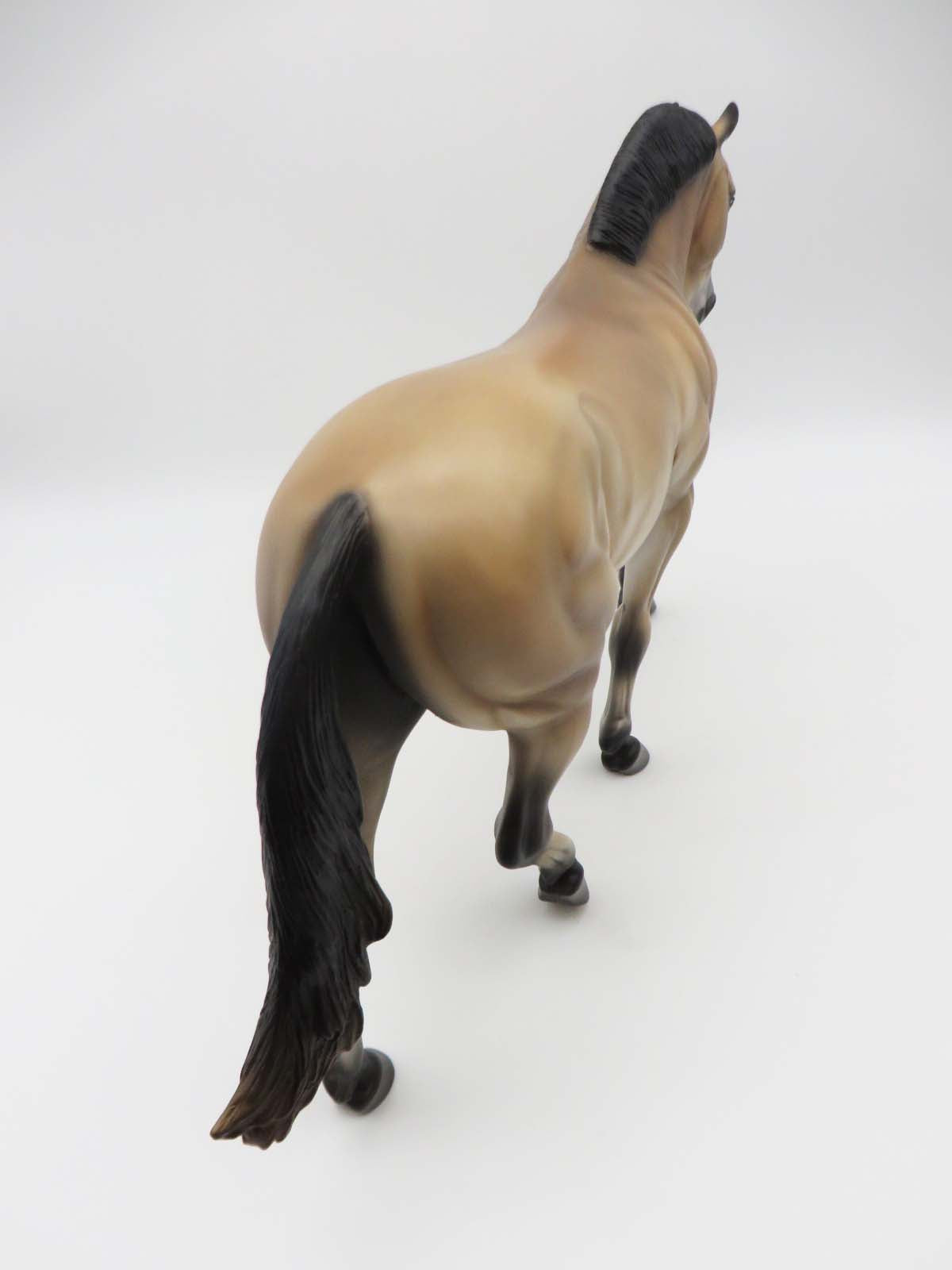 Merchant - OOAK - Buckskin Irish Draught By Jess Hamill - SHCF23