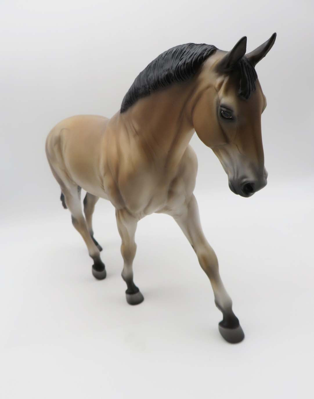 Merchant - OOAK - Buckskin Irish Draught By Jess Hamill - SHCF23