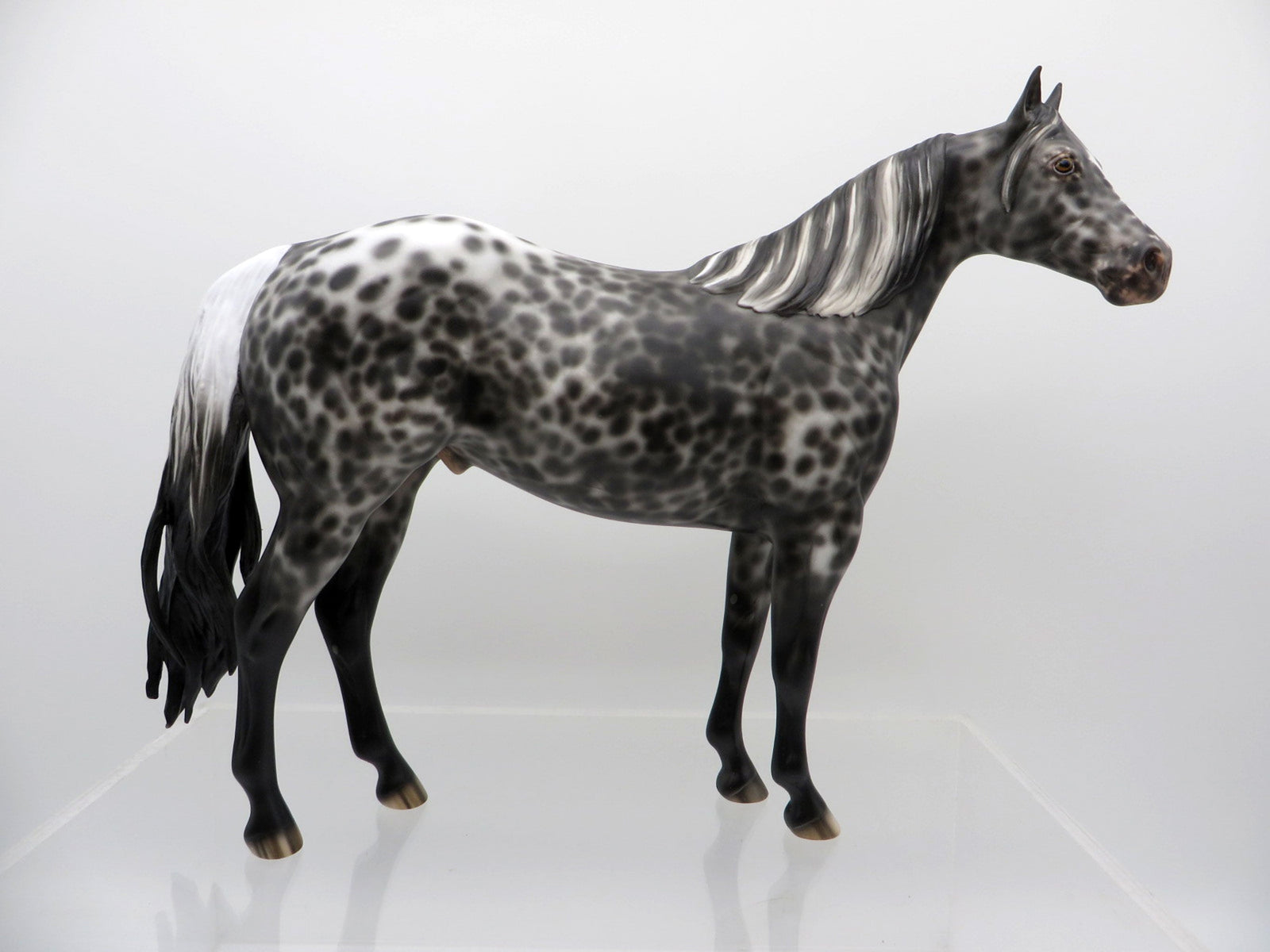 Mereck-OOAK Appaloosa ISH Painted By Sheryl Leisure 3/22