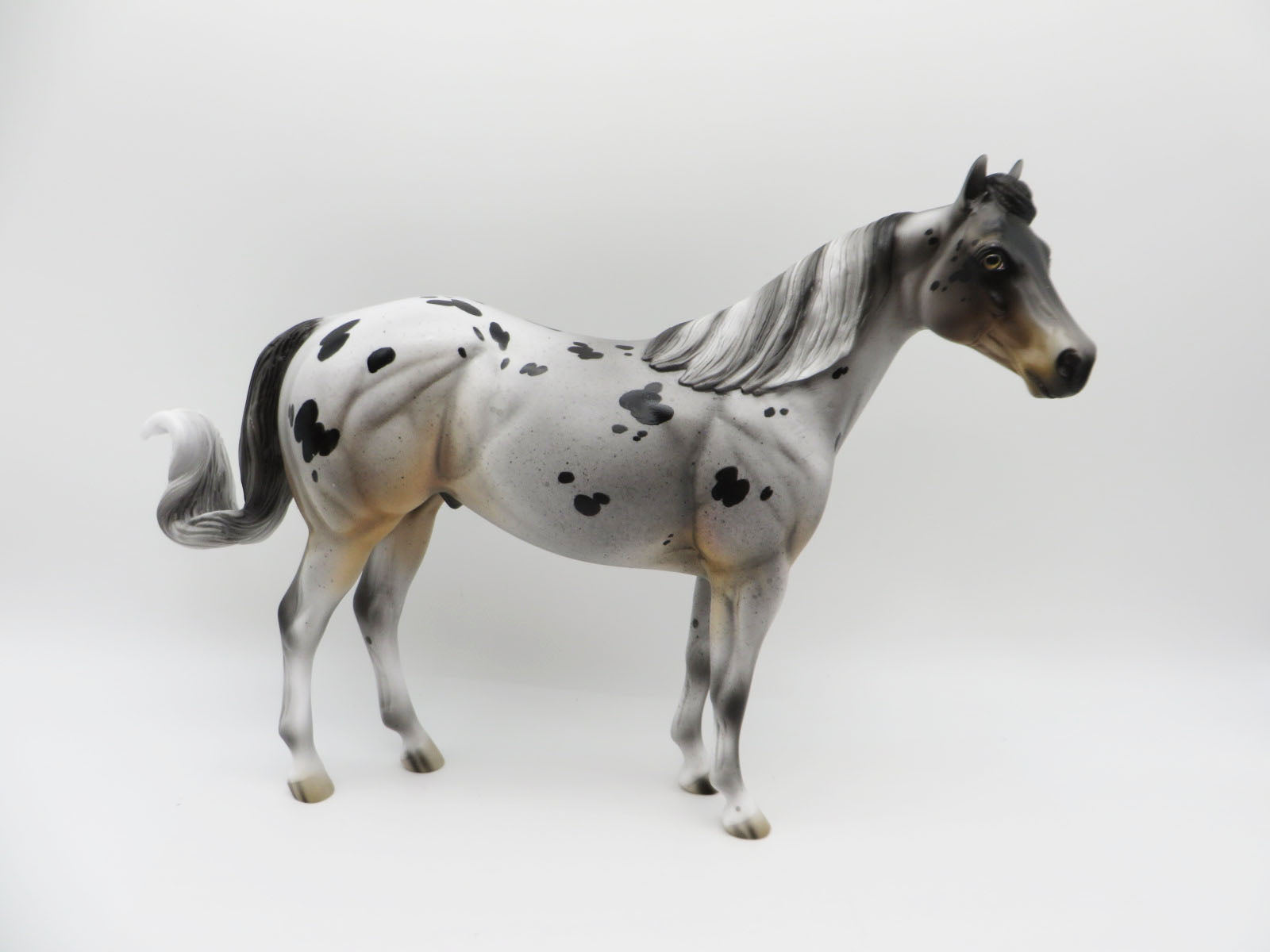 Merle - LE-3 Appaloosa Ideal Stock Horse By Jess Hamill - Paws & Claws 2023 - P&C 23