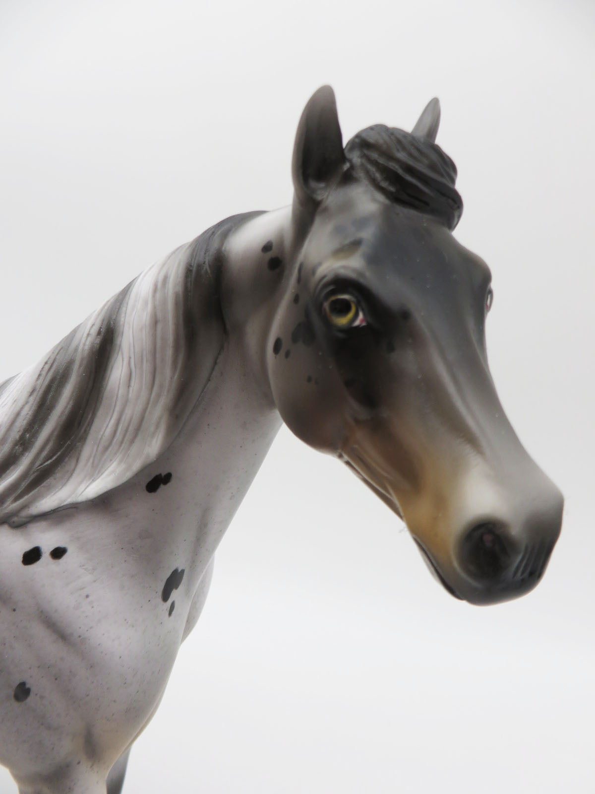 Merle - LE-3 Appaloosa Ideal Stock Horse By Jess Hamill - Paws &amp; Claws 2023 - P&amp;C 23