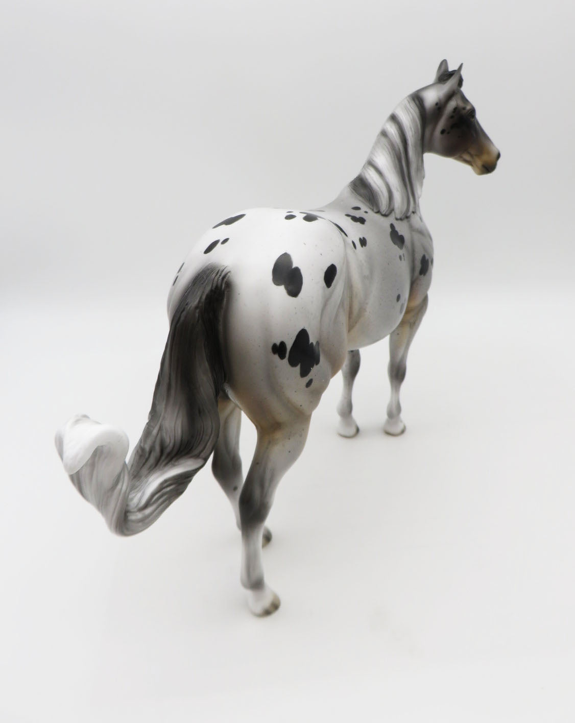 The Ideal Series - Appaloosa