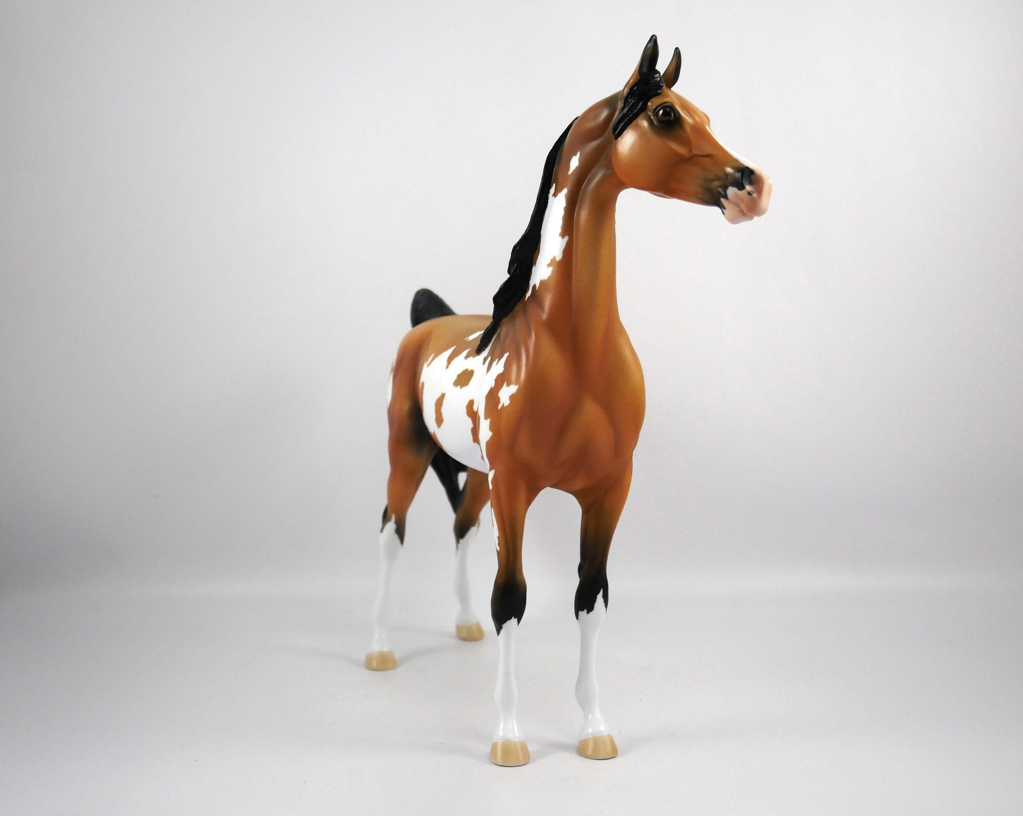 Merle-OOAK Buckskin Paint Arabian by Ellen 1/29/21