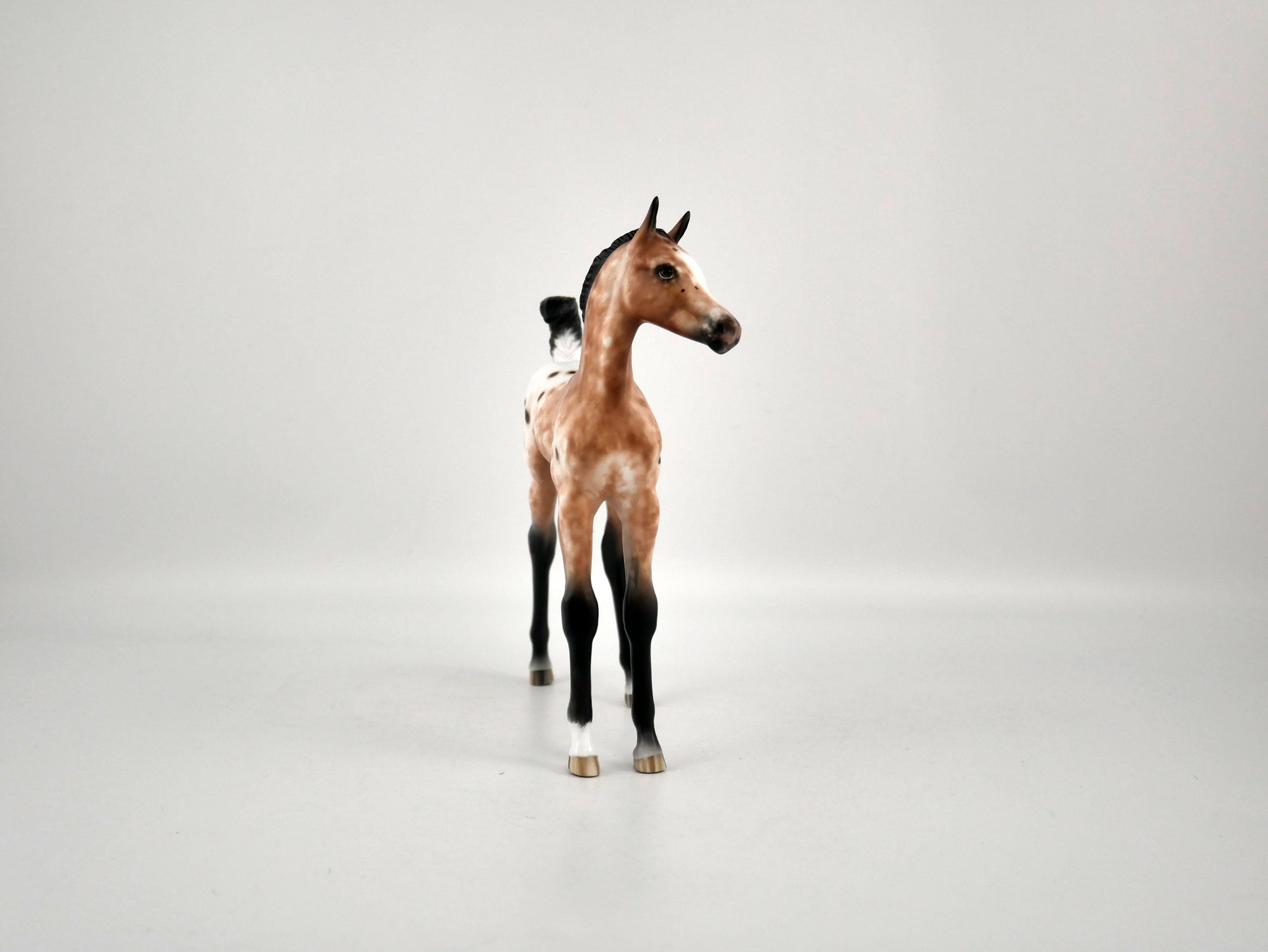 Merry-OOAK Bay Appaloosa Foal By Sheryl Leisure 12/15/20