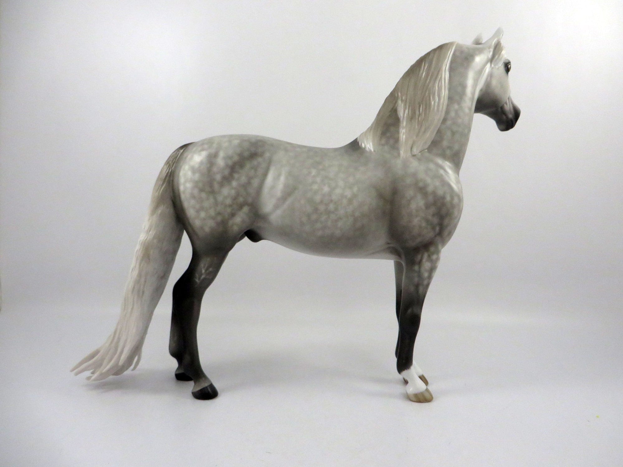 Meta Man-OOAK Dapple Grey Morgan By Sheryl Leisure  2/25/21