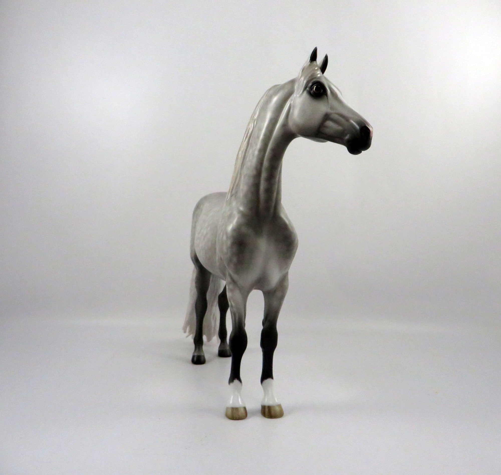 Meta Man-OOAK Dapple Grey Morgan By Sheryl Leisure  2/25/21