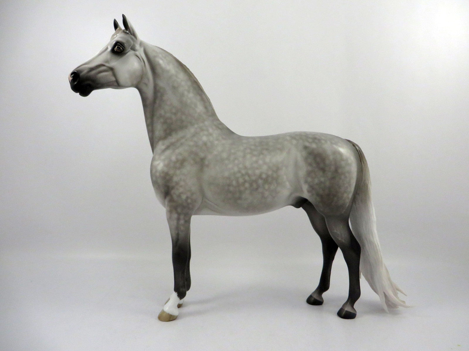 Meta Man-OOAK Dapple Grey Morgan By Sheryl Leisure  2/25/21