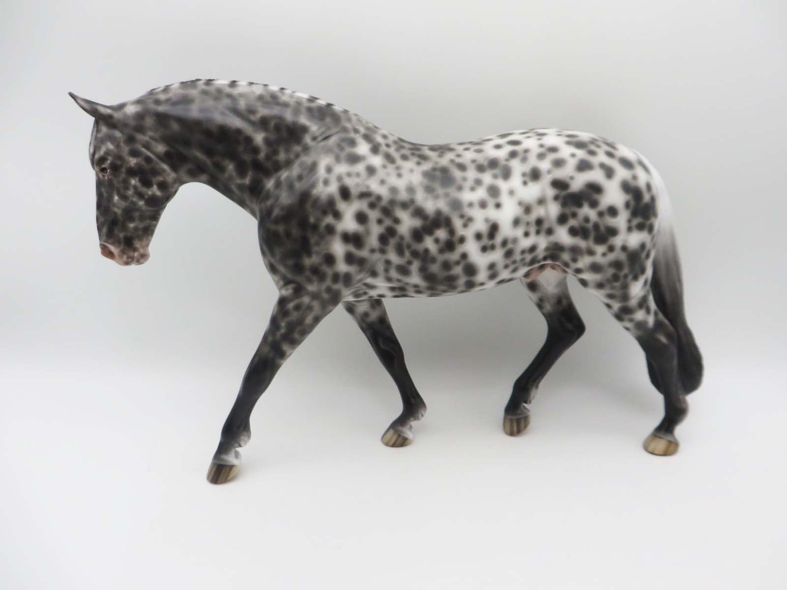 Metroid-OOAK Loud Appaloosa Irish Drafter By Sheryl Leisure  SHCF23 Best Offer