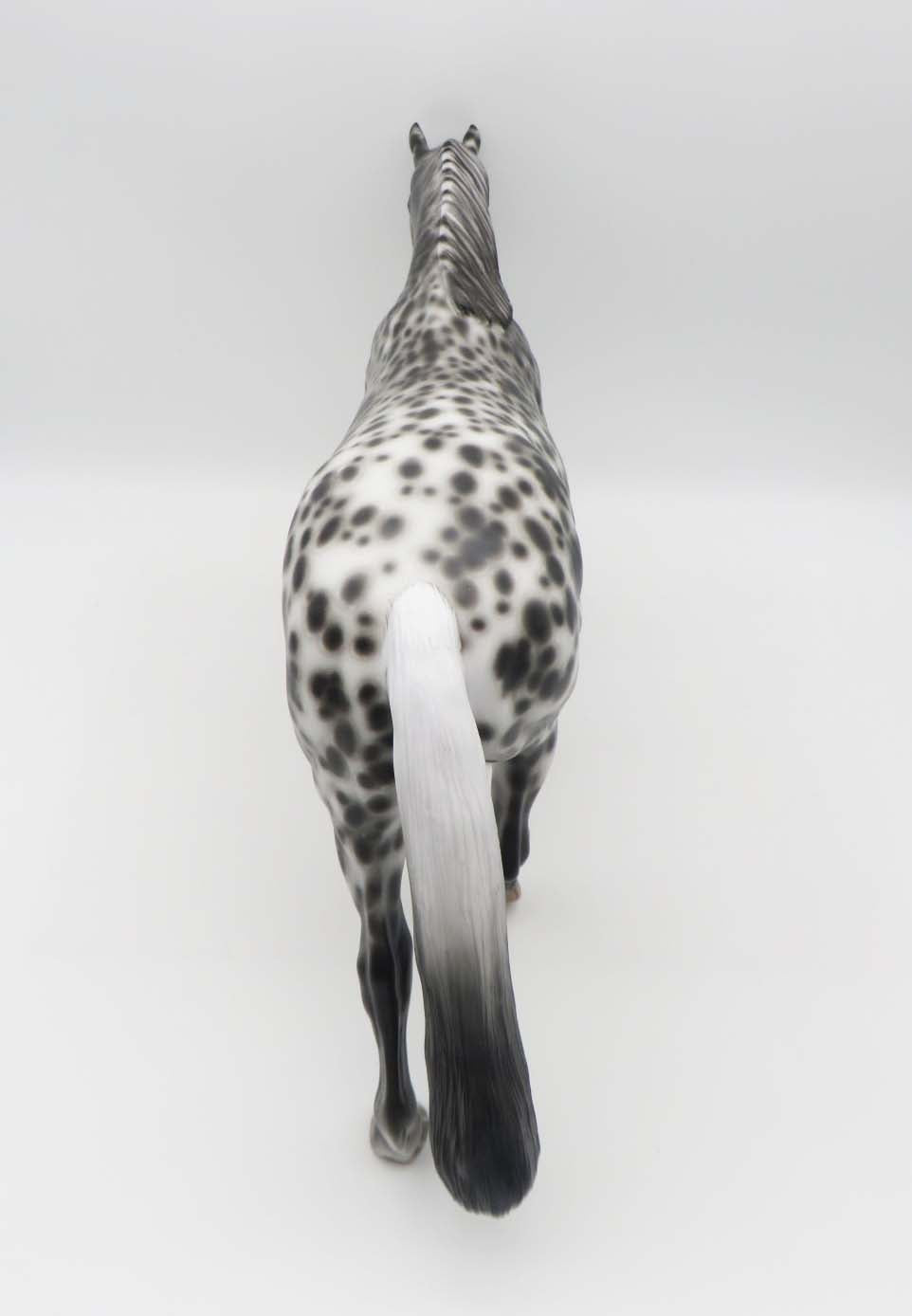 Metroid-OOAK Loud Appaloosa Irish Drafter By Sheryl Leisure  SHCF23 Best Offer