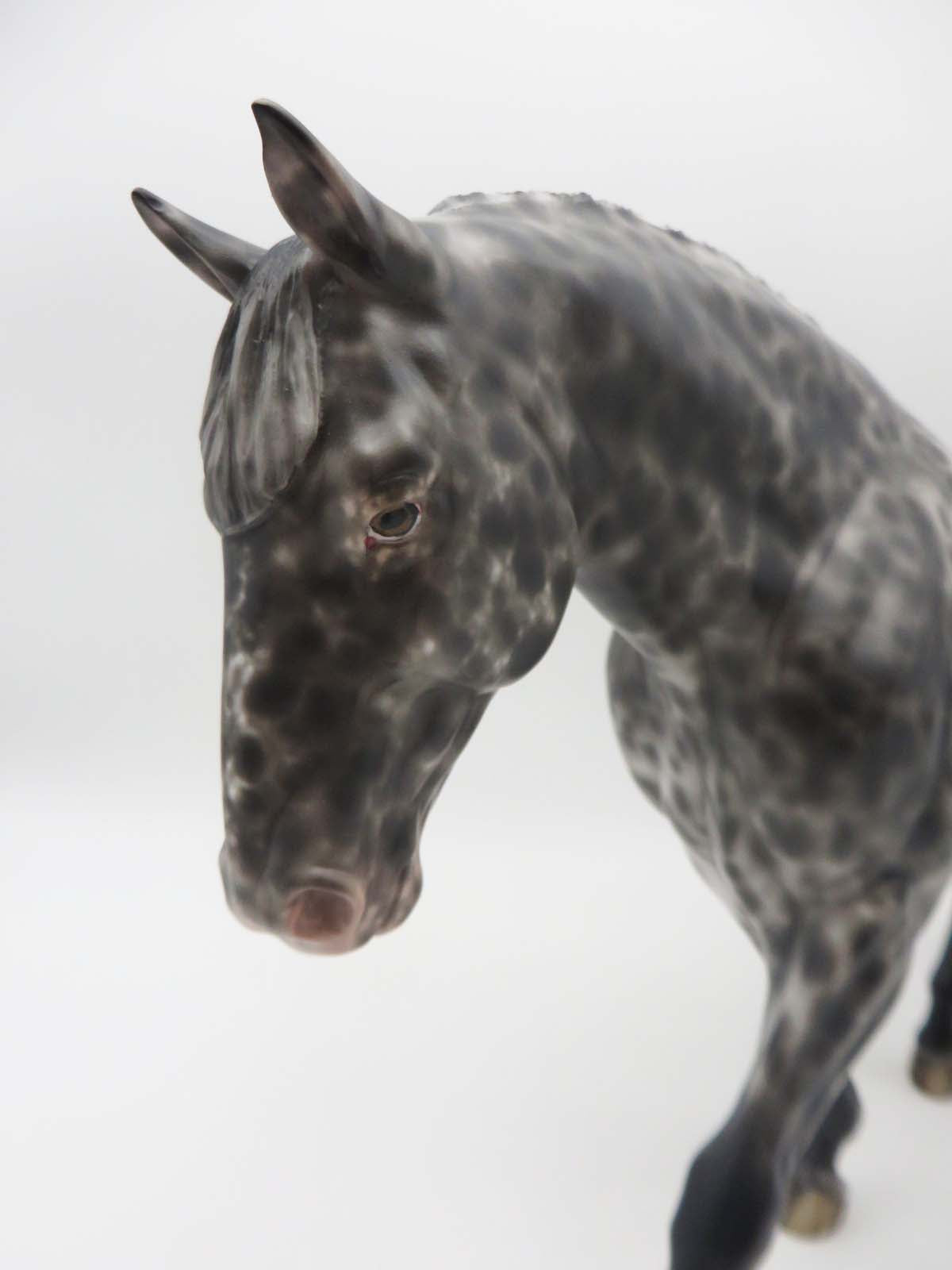 Metroid-OOAK Loud Appaloosa Irish Drafter By Sheryl Leisure  SHCF23 Best Offer