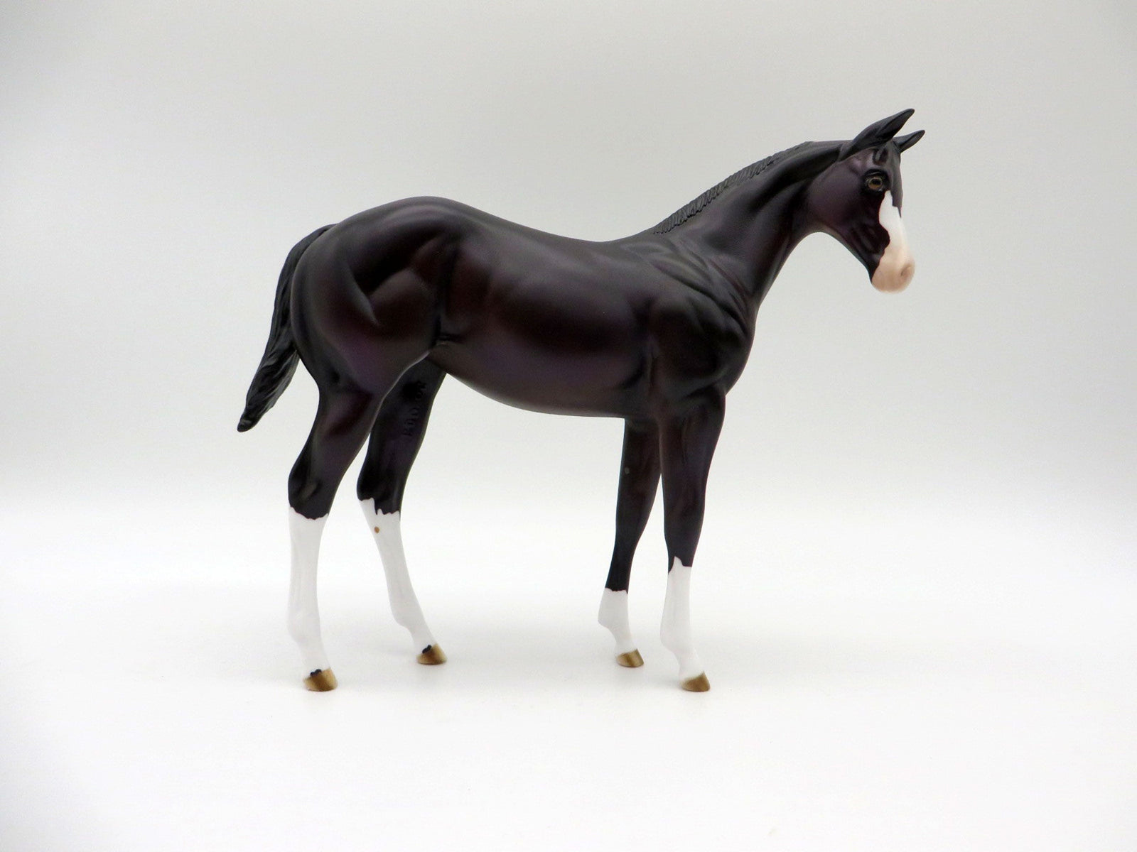 Mewtwo-OOAL Dark Bay Weanling Painted By Ellen Robbins 5/14/21