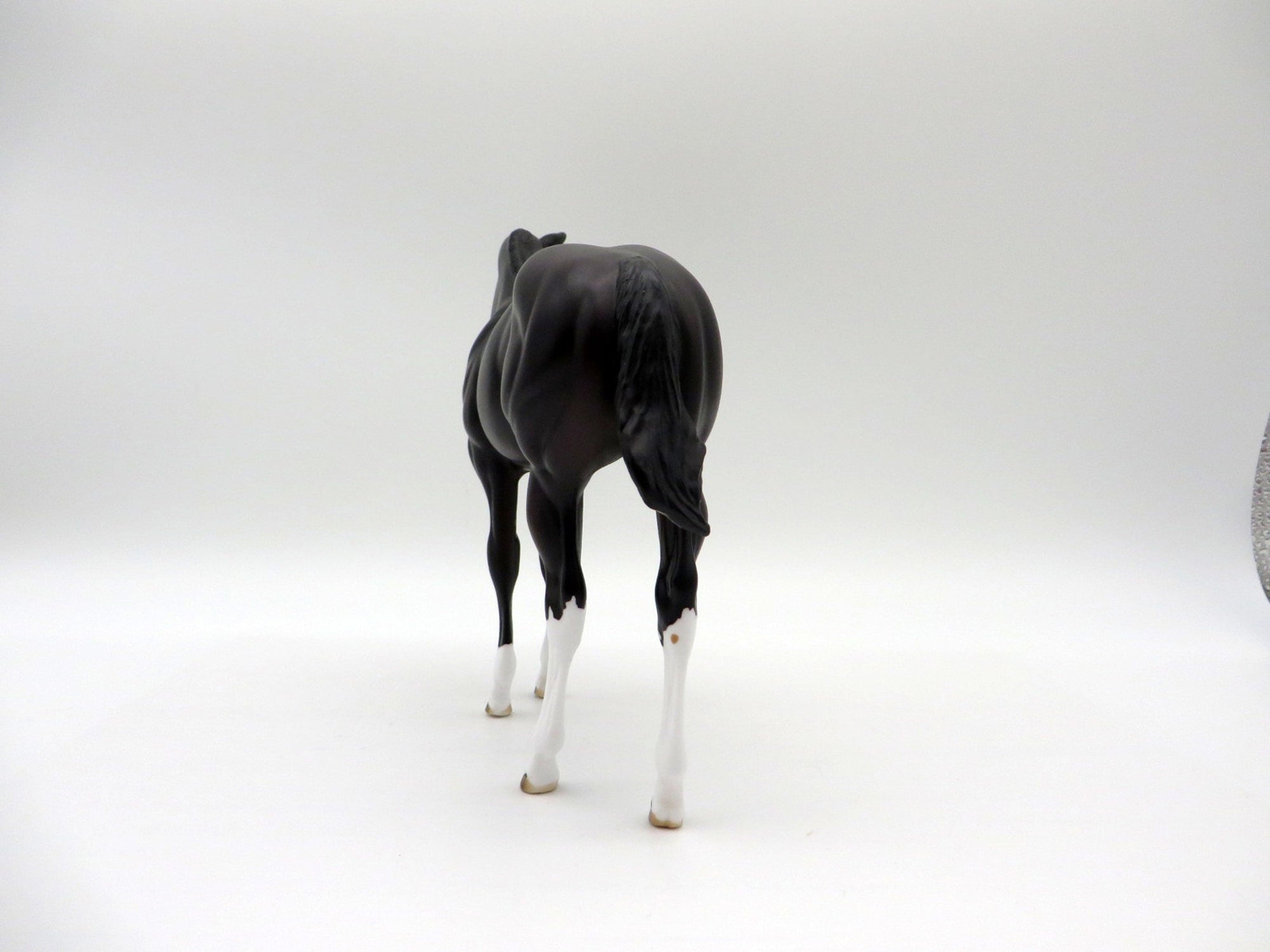 Mewtwo-OOAL Dark Bay Weanling Painted By Ellen Robbins 5/14/21