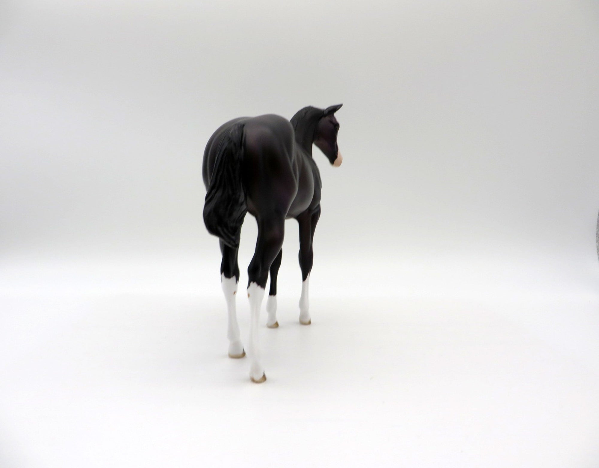 Mewtwo-OOAL Dark Bay Weanling Painted By Ellen Robbins 5/14/21