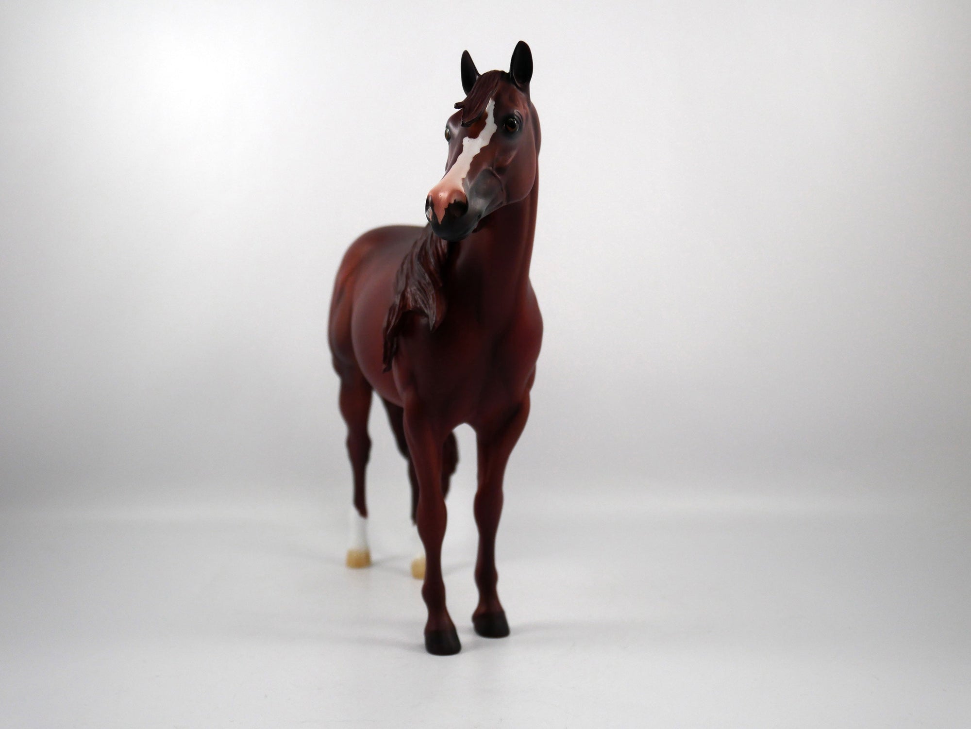 MIAMI-OOAK Chestnut  ISH  SB21