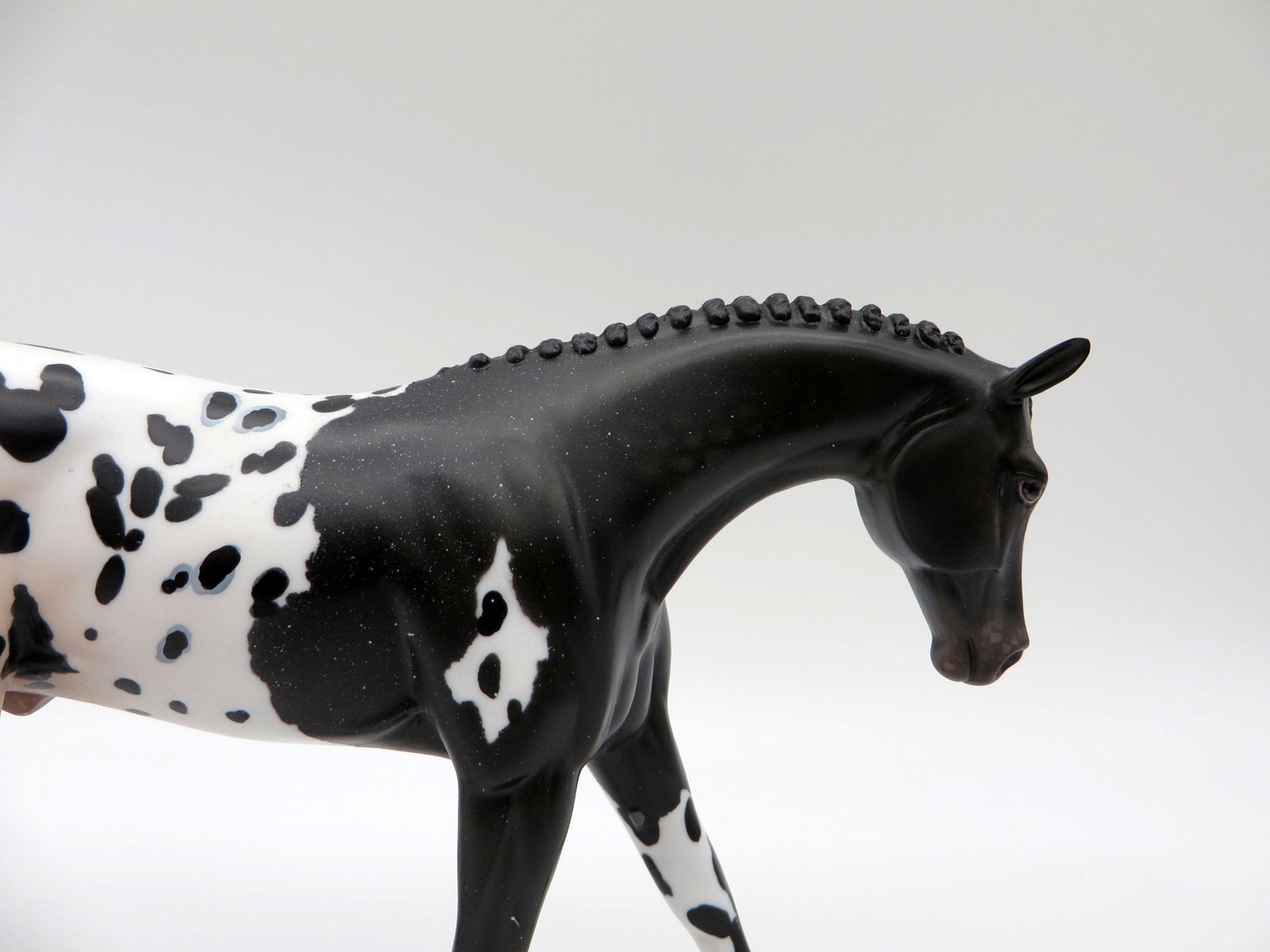 Mickey-OOAK Loud Appaloosa Warmblood Painted By Audrey Dixon  5/28/21