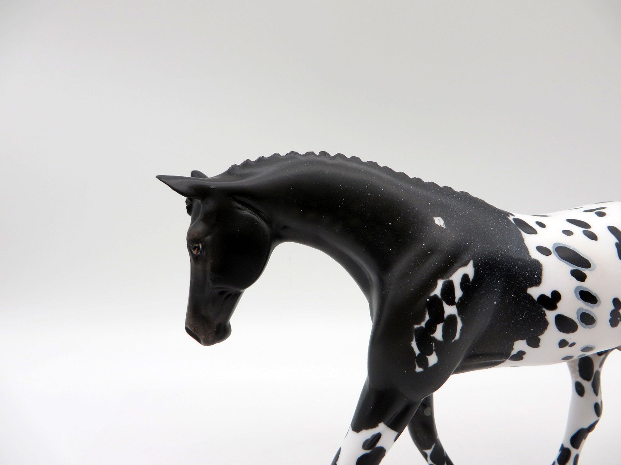 Mickey-OOAK Loud Appaloosa Warmblood Painted By Audrey Dixon  5/28/21