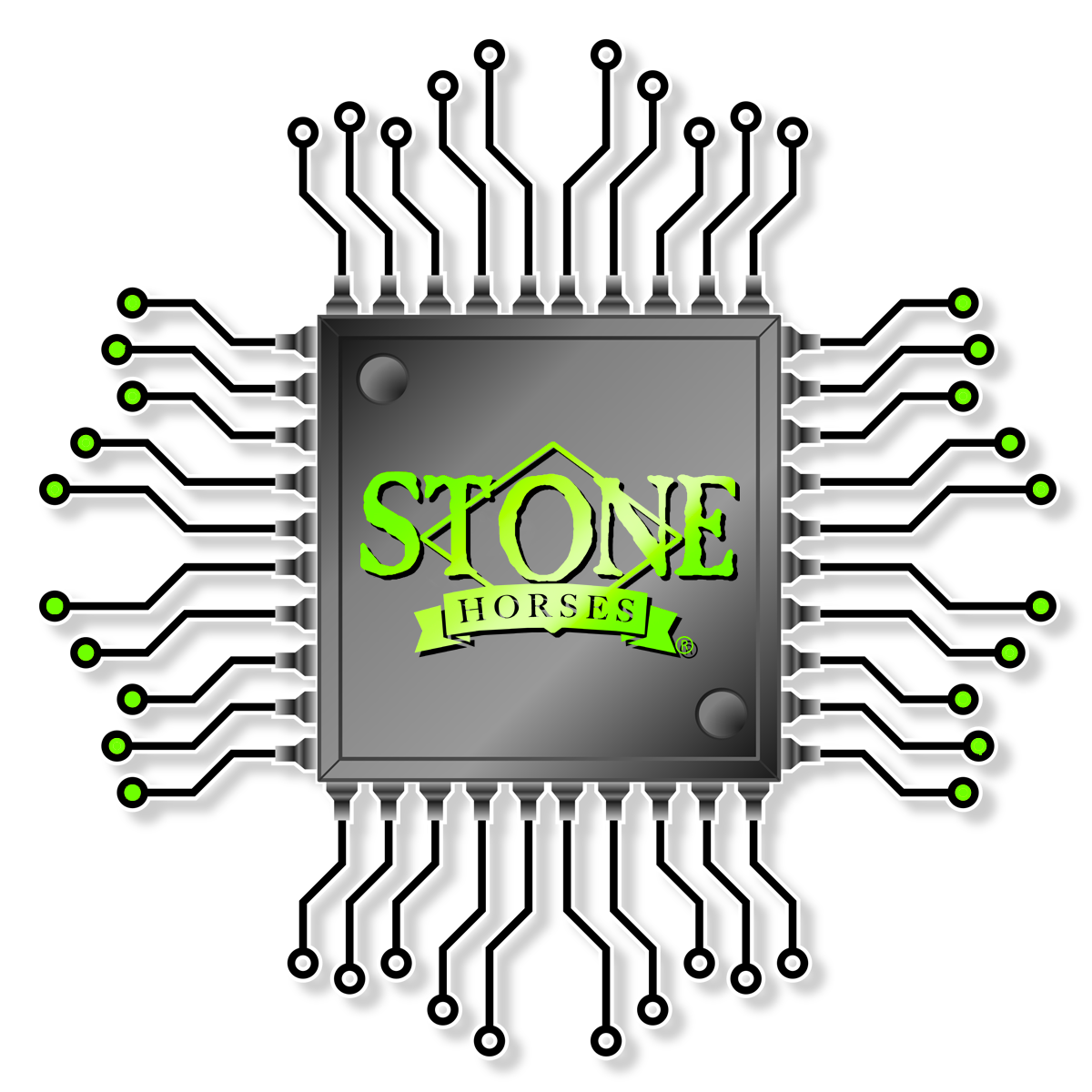 Micro Chip Workshop With Ellen Robbins 10:00 AM. Est. Time