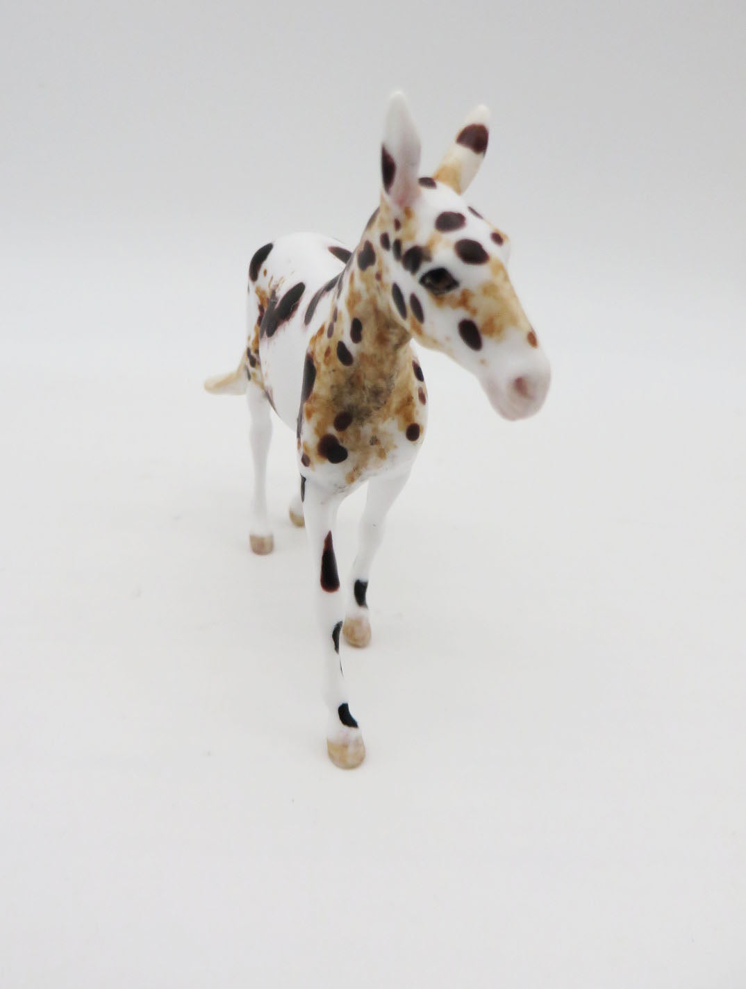 Midday - OOAK - Loud Appaloosa Mule By Andrea Thomason - Christmas Tails 2022 - CT22