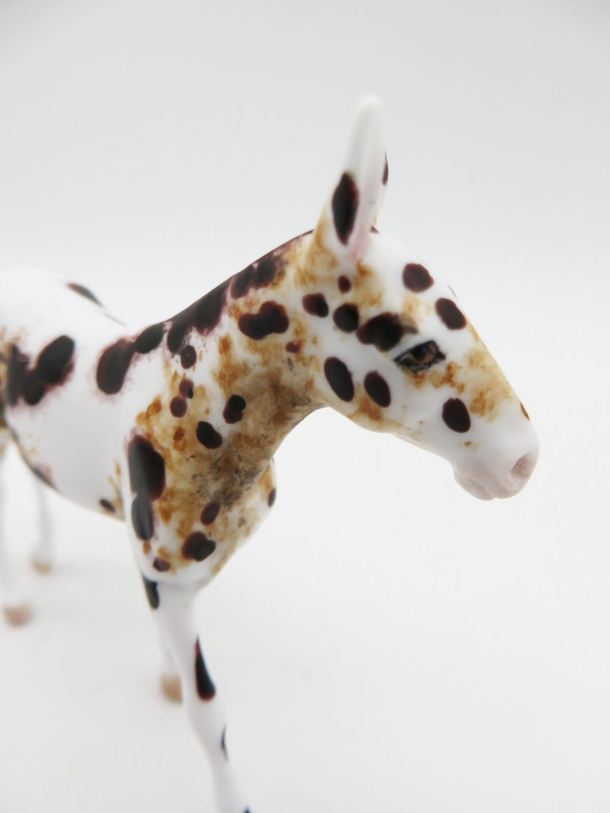 Midday - OOAK - Loud Appaloosa Mule By Andrea Thomason - Christmas Tails 2022 - CT22