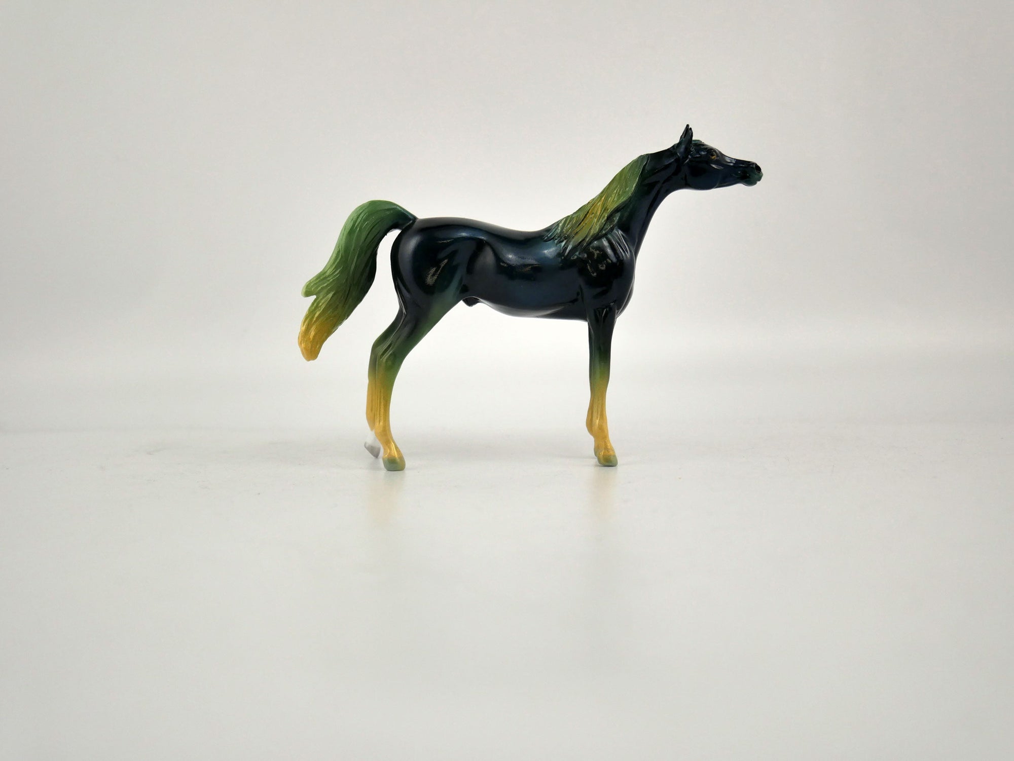 What is inside the Box&gt;Midnight in the Forest Chip  12/20