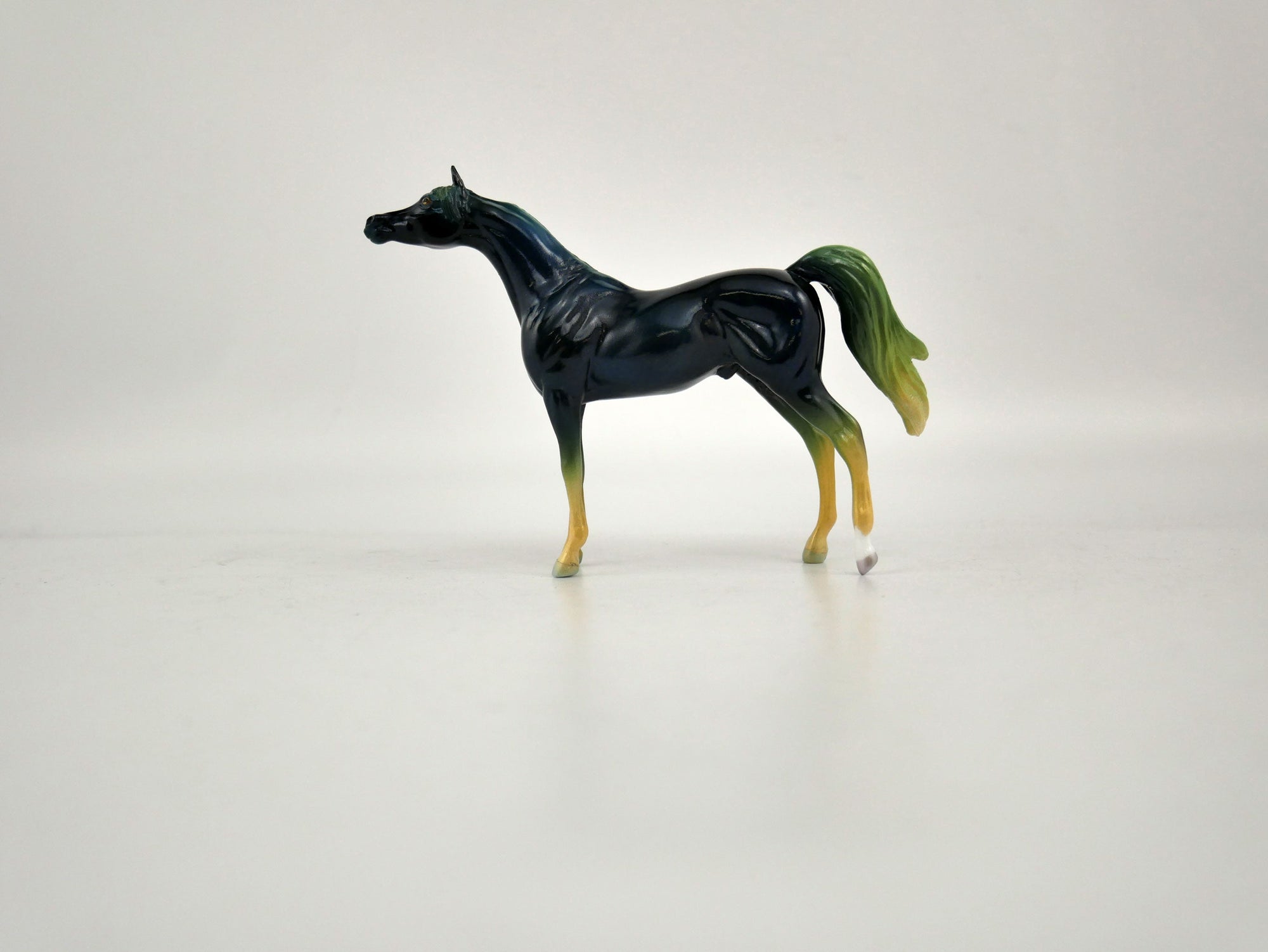 What is inside the Box>Midnight in the Forest Chip  12/20