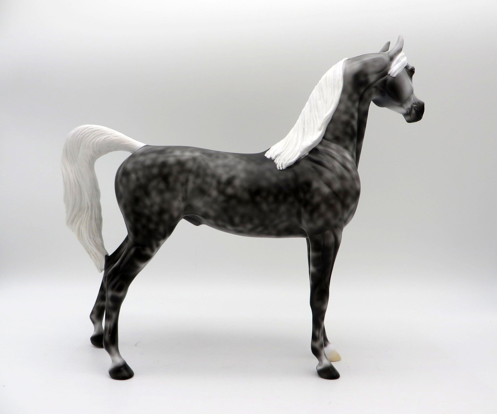 Midnight-LE-2 Dapple Grey Arabian Painted by Ellen 5/21/21