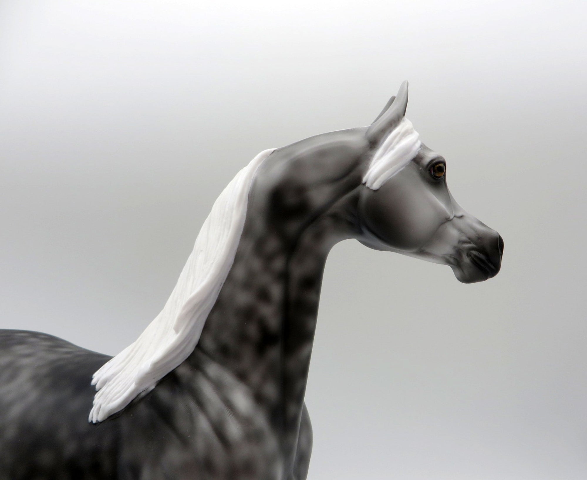 Midnight-LE-2 Dapple Grey Arabian Painted by Ellen 5/21/21