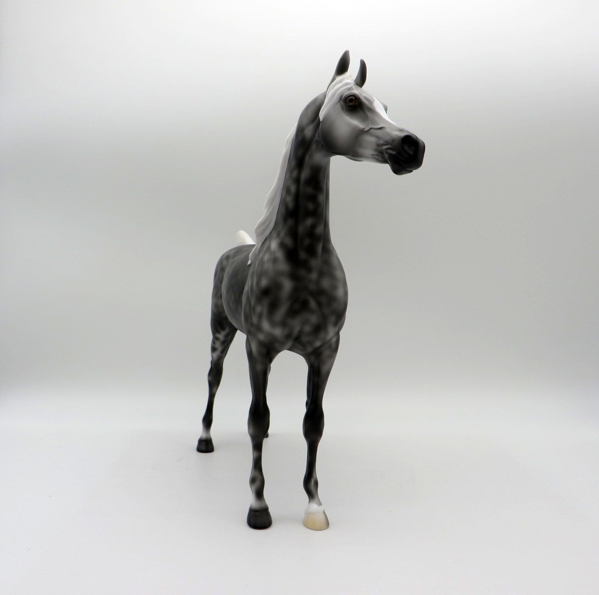 Midnight-LE-2 Dapple Grey Arabian Painted by Ellen 5/21/21