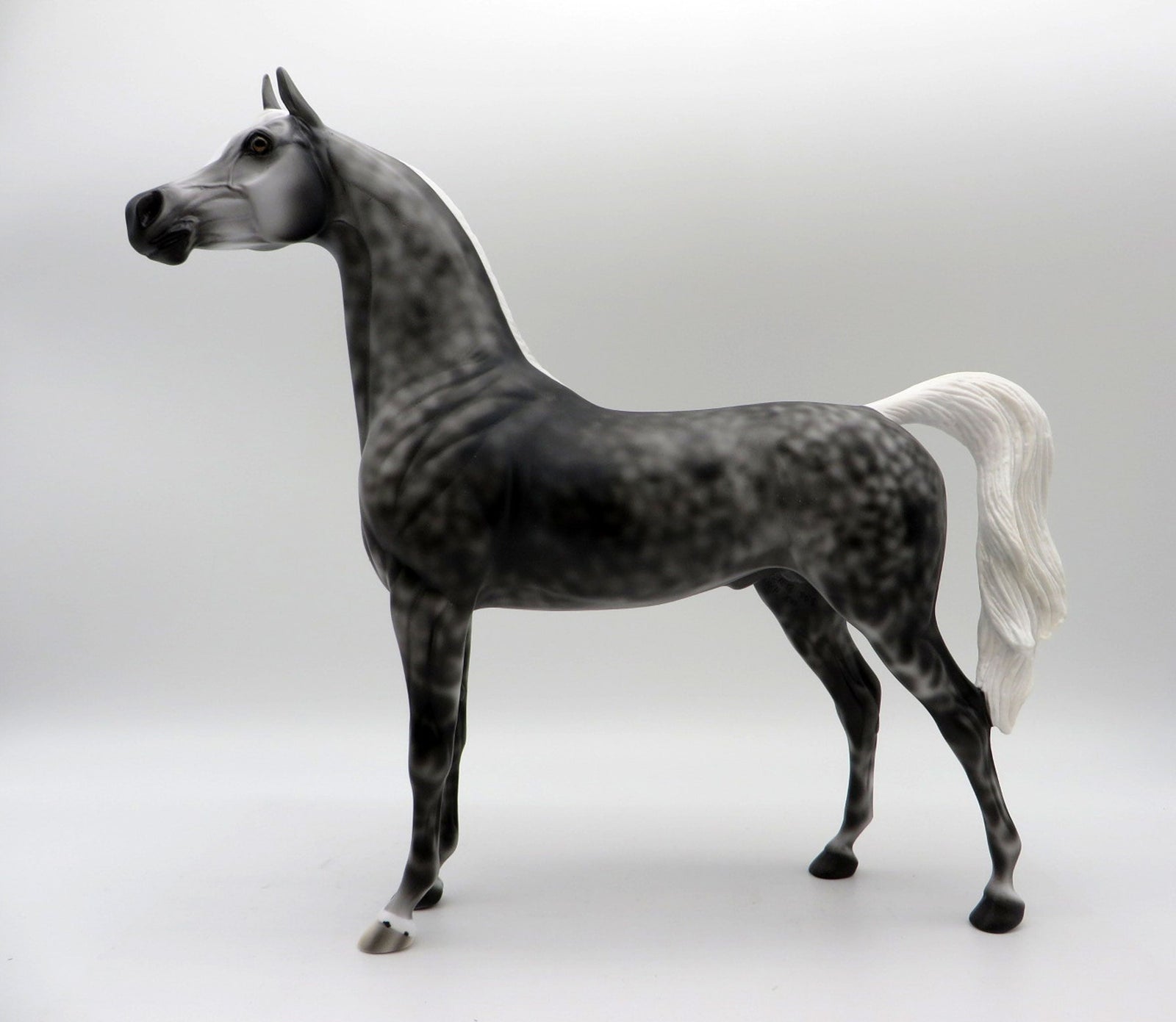 Midnight-LE-2 Dapple Grey Arabian Painted by Ellen 5/21/21