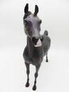 Witch and Famous - OOAK - Arabian Stallion Halloween Decorator Painted by Ashley Palmer - MM22