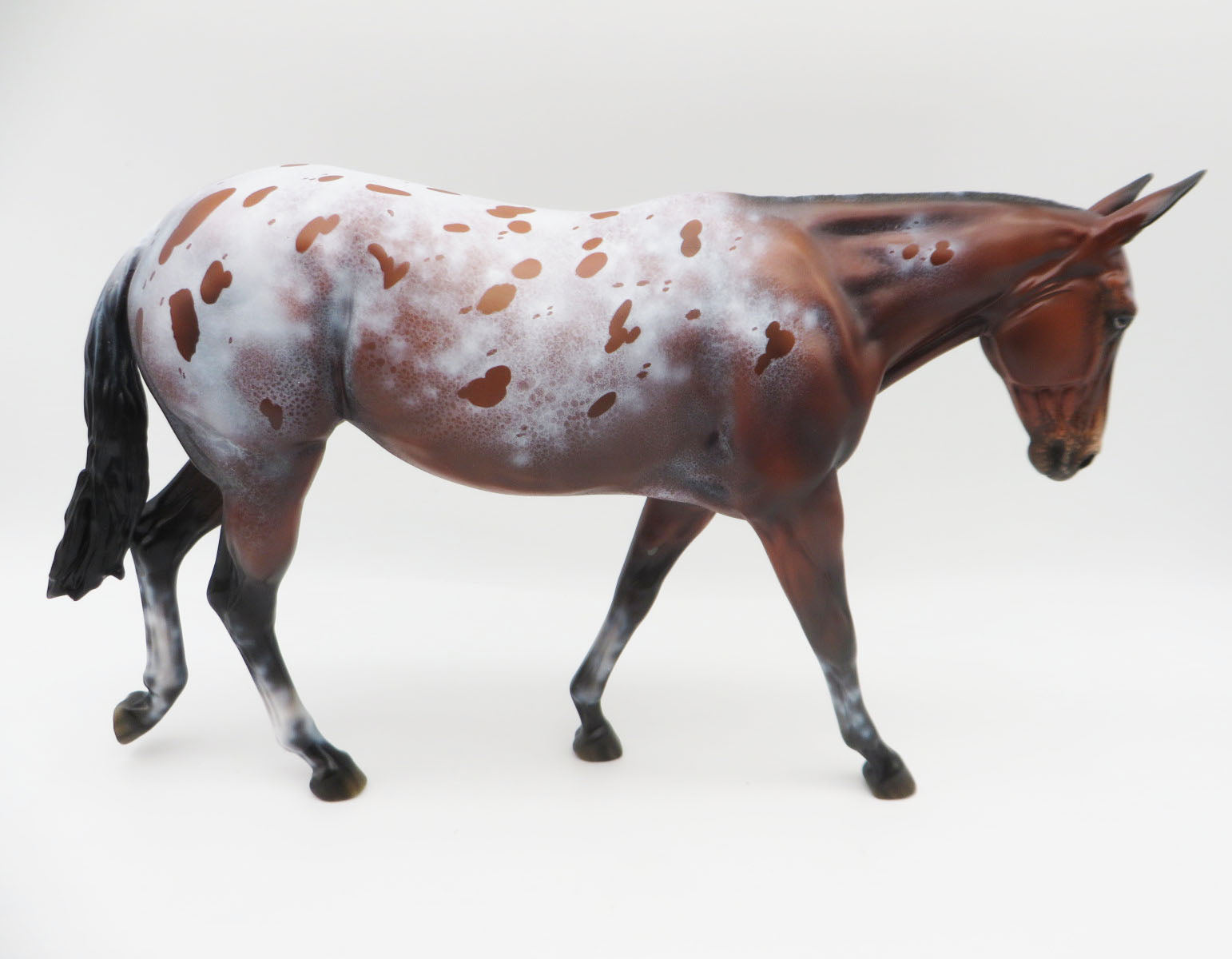 Miigwechiwendan- OOAK Bay Appaloosa Mule By Ellen Robbins 11/28/22