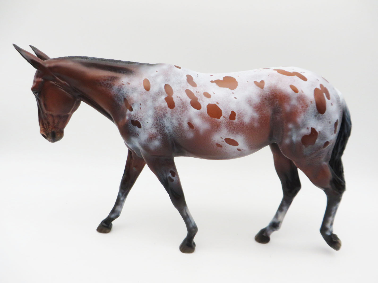 Miigwechiwendan- OOAK Bay Appaloosa Mule By Ellen Robbins 11/28/22