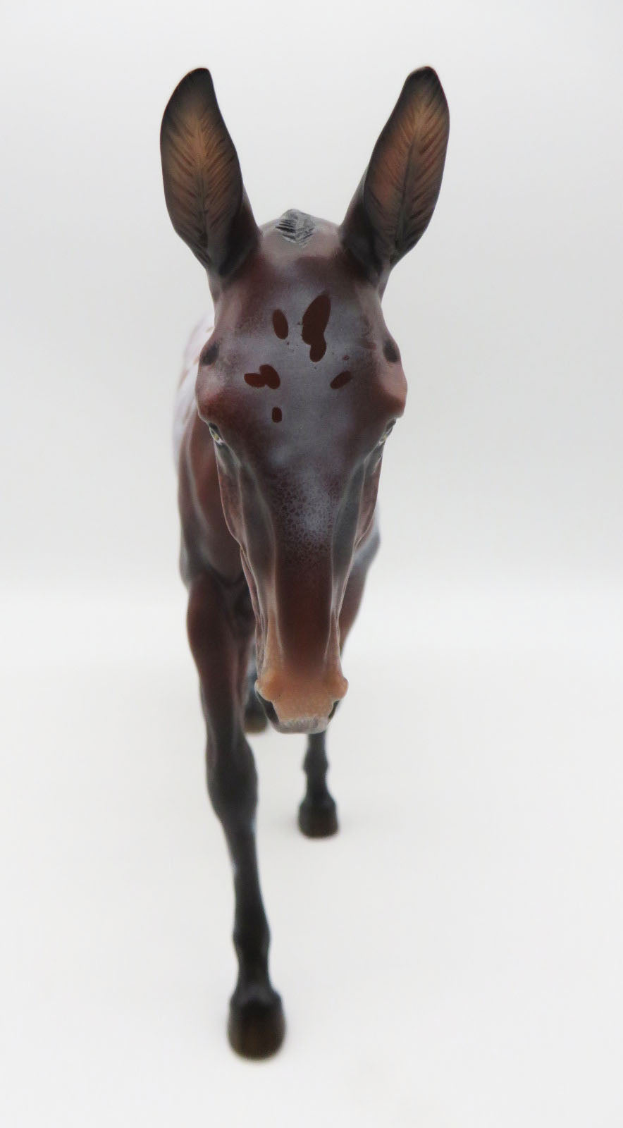 Miigwechiwendan- OOAK Bay Appaloosa Mule By Ellen Robbins 11/28/22