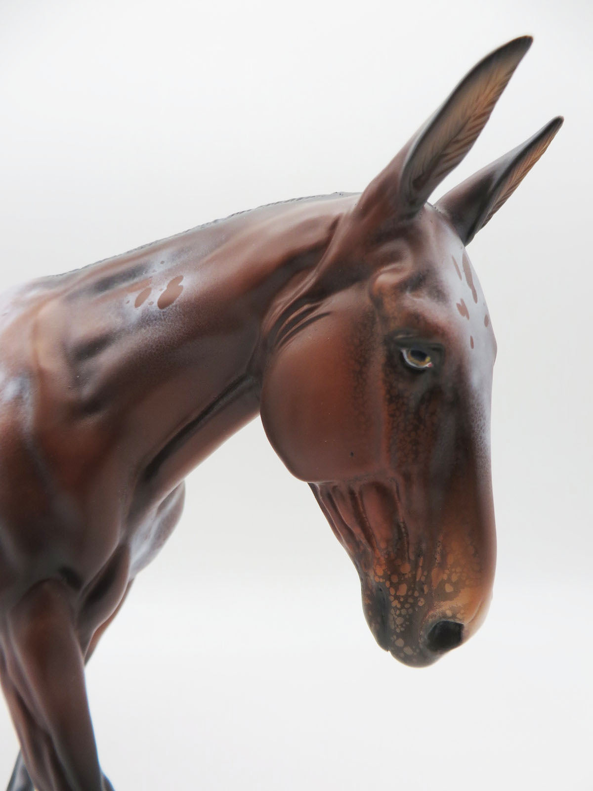 Miigwechiwendan- OOAK Bay Appaloosa Mule By Ellen Robbins 11/28/22