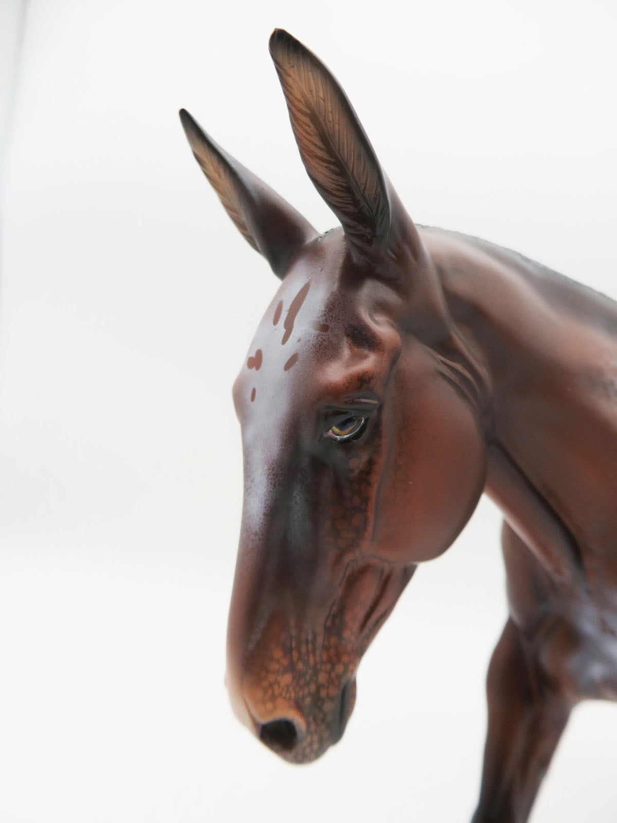 Miigwechiwendan- OOAK Bay Appaloosa Mule By Ellen Robbins 11/28/22