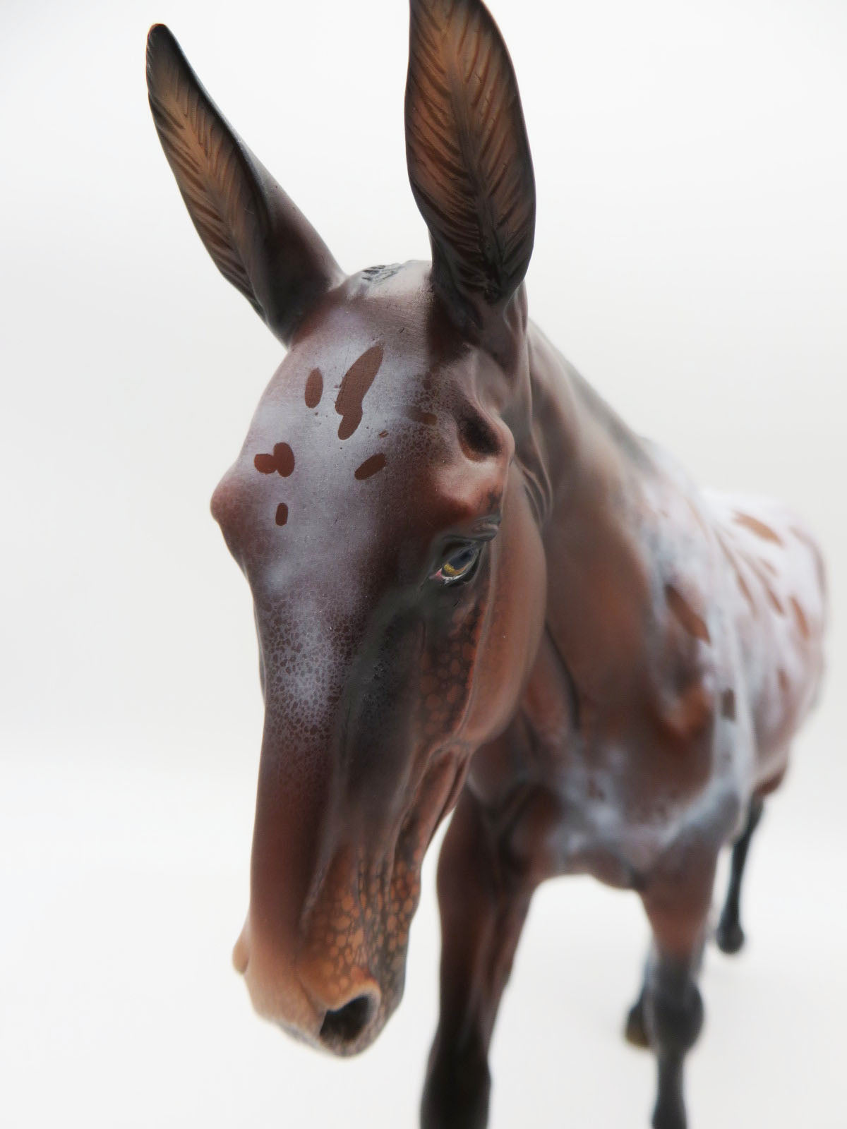 Miigwechiwendan- OOAK Bay Appaloosa Mule By Ellen Robbins 11/28/22