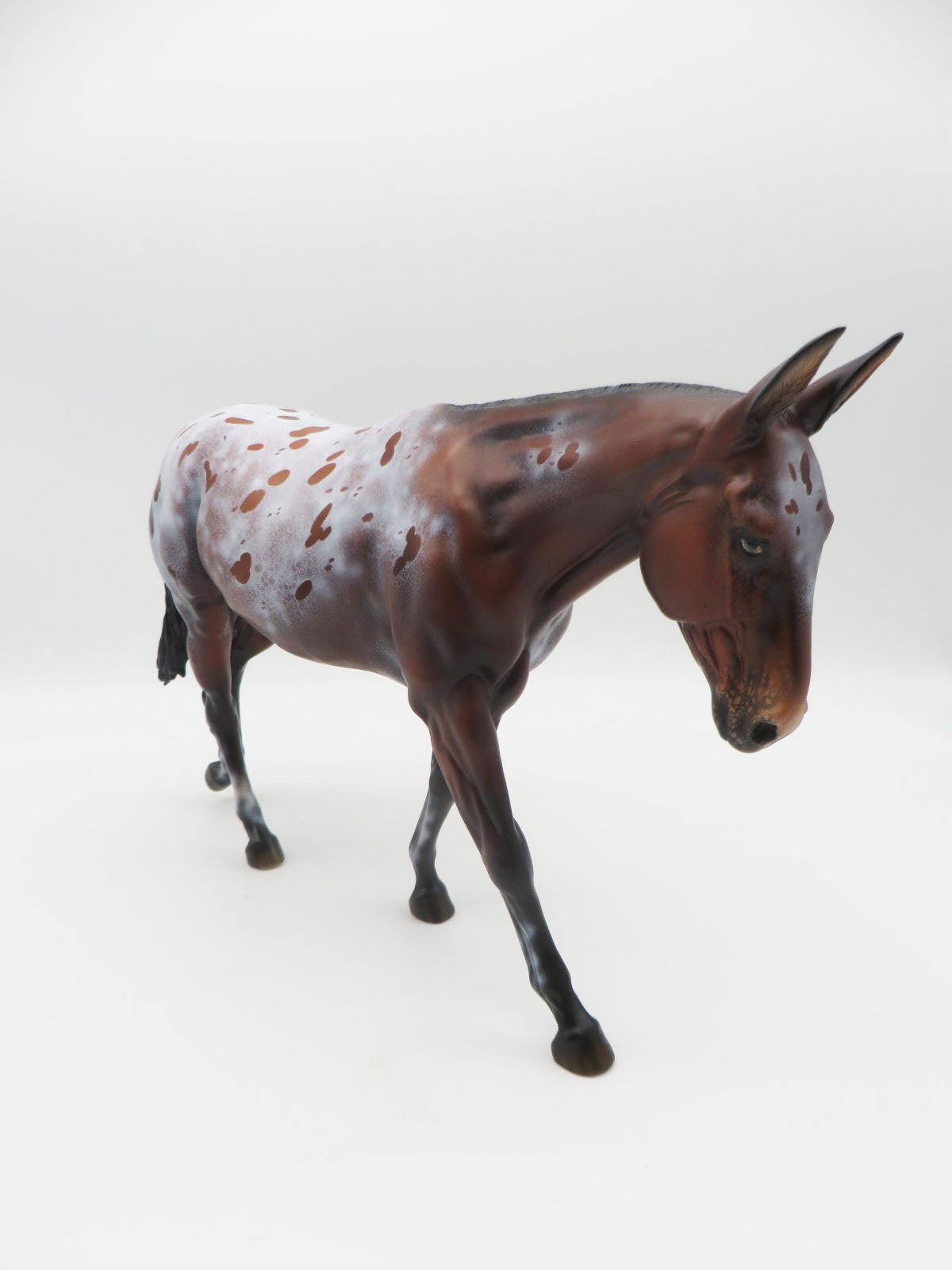 Miigwechiwendan- OOAK Bay Appaloosa Mule By Ellen Robbins 11/28/22