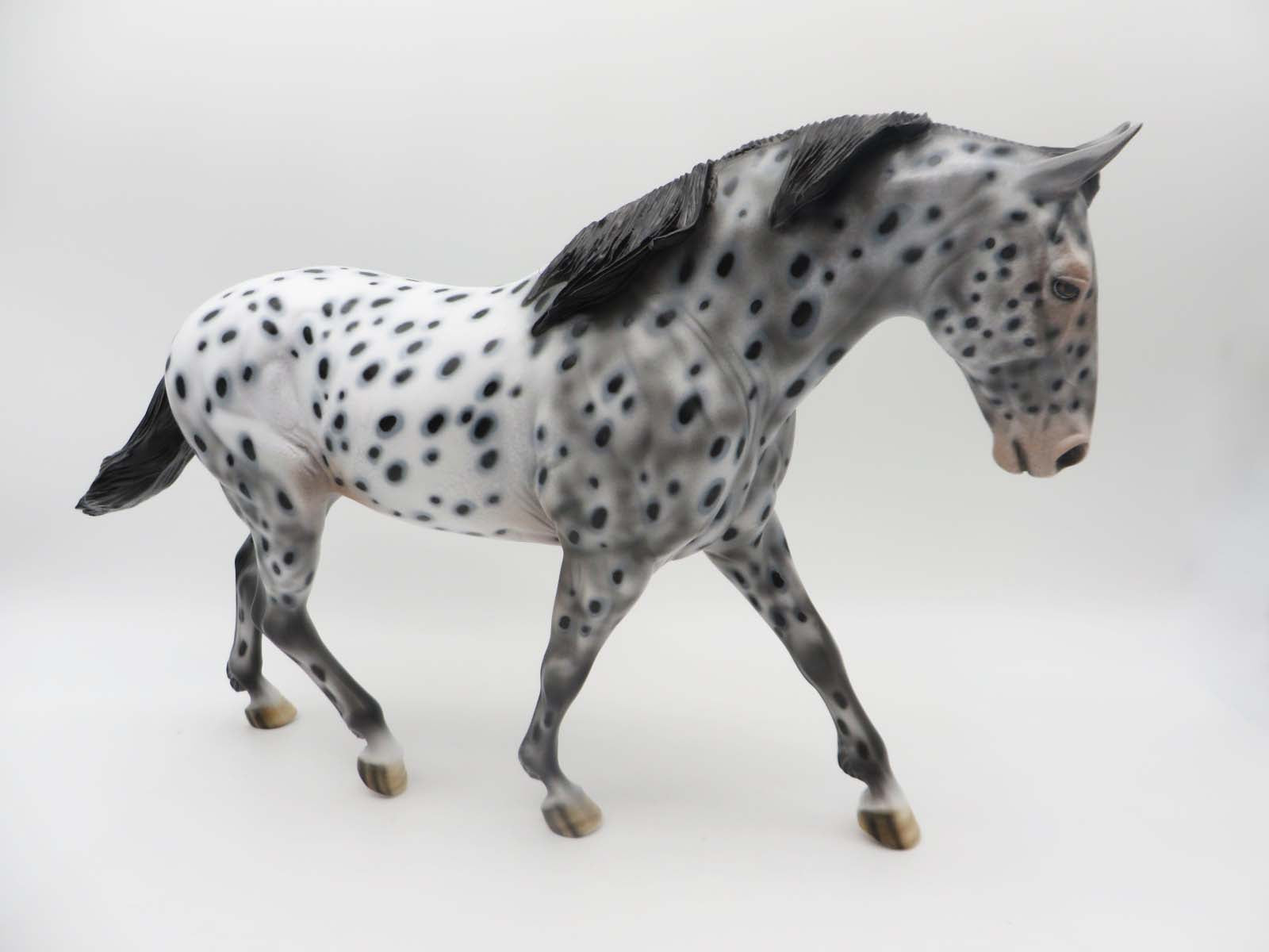 Million Dollar Cowboy - OOAK - Appaloosa Irish Draught Horse By Dawn Quick - SHCF23