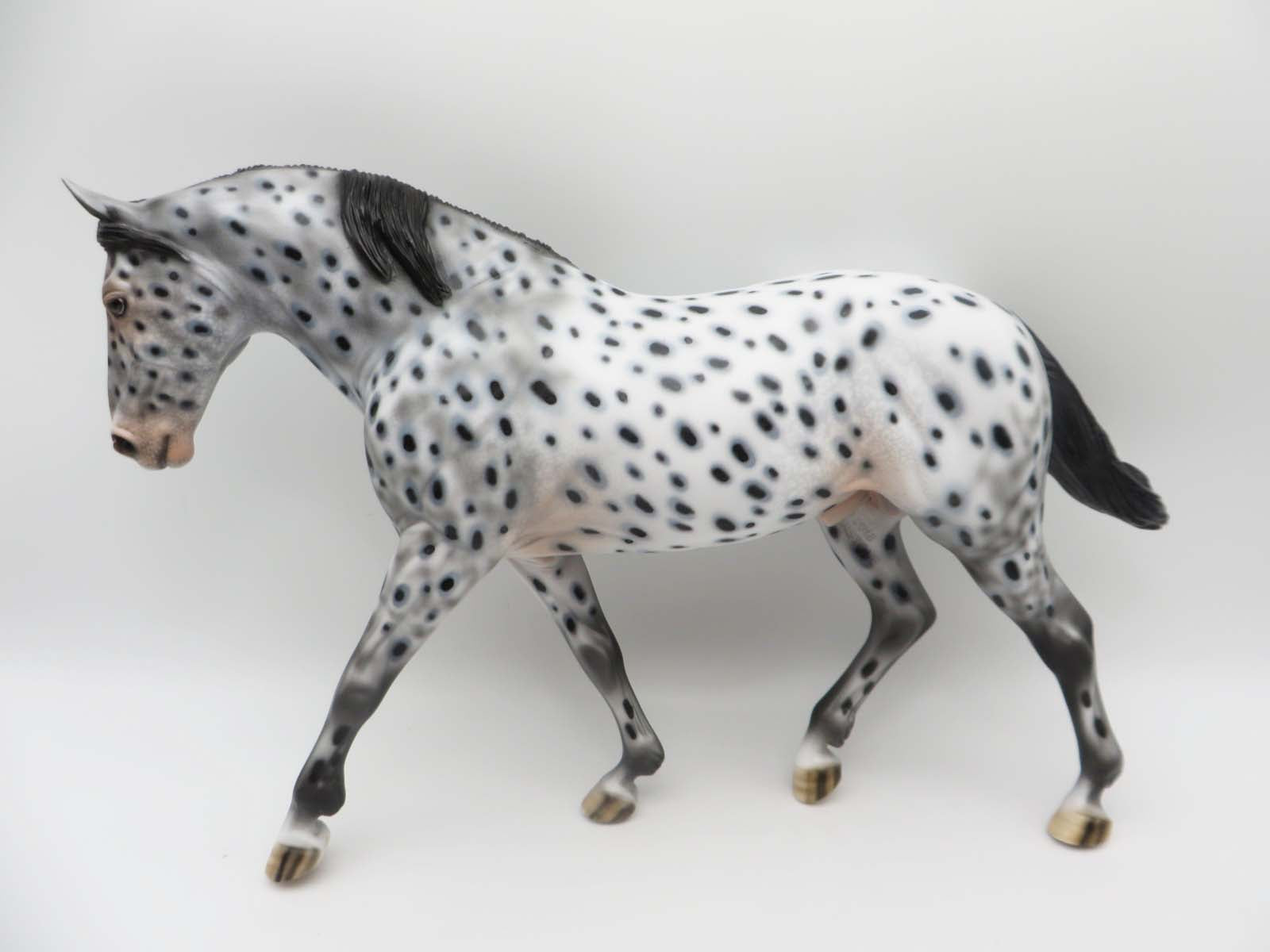 Million Dollar Cowboy - OOAK - Appaloosa Irish Draught Horse By Dawn Quick - SHCF23