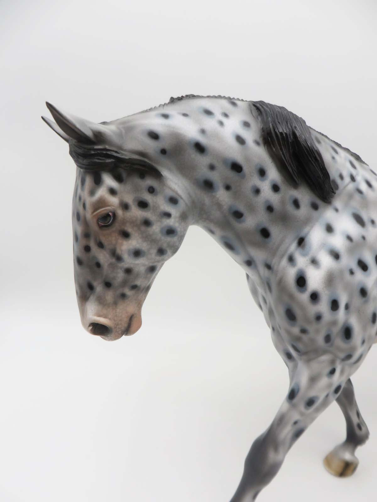 Million Dollar Cowboy - OOAK - Appaloosa Irish Draught Horse By Dawn Quick - SHCF23